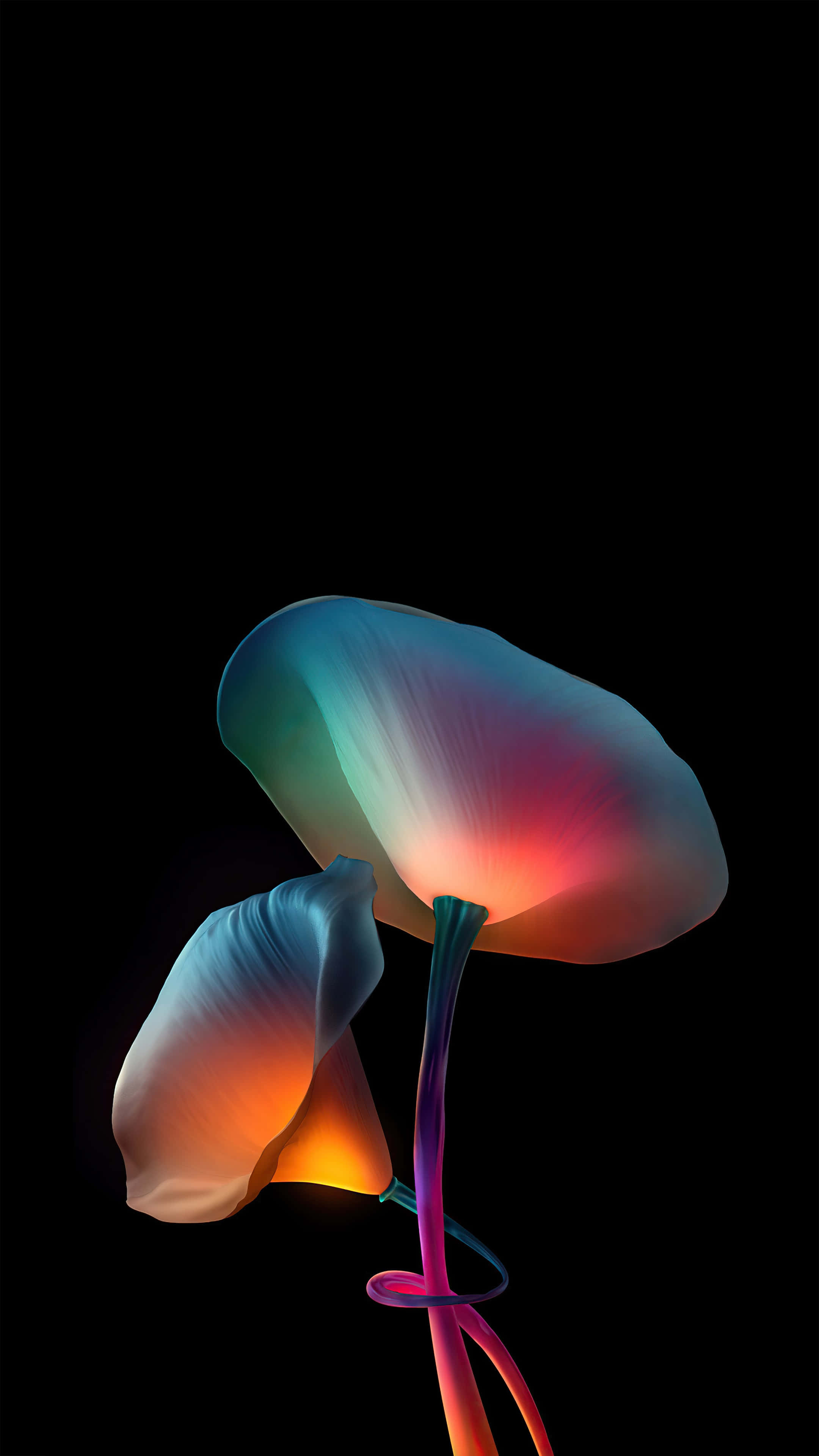 4K Oled 桌布 壁紙 — 一朵發光的抽象花朵，帶有虹彩花瓣和扭曲的莖，在純黑色背景上散發出鮮豔的色彩。