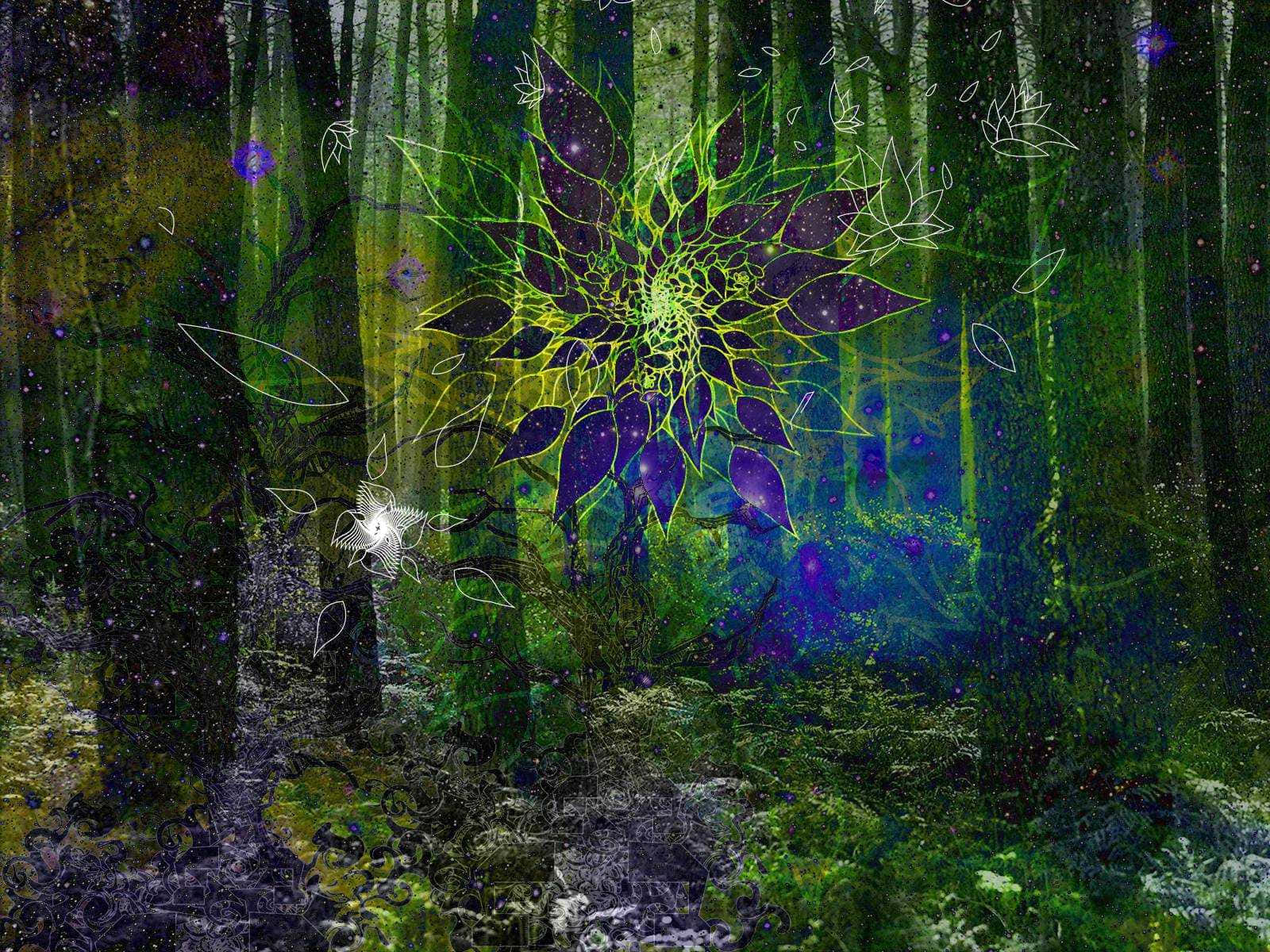 Enchanted Forest 桌布 壁紙 — 一朵發光的紫色和綠色分形花在神秘的森林中綻放，周圍有漂浮的葉子和宇宙粒子。