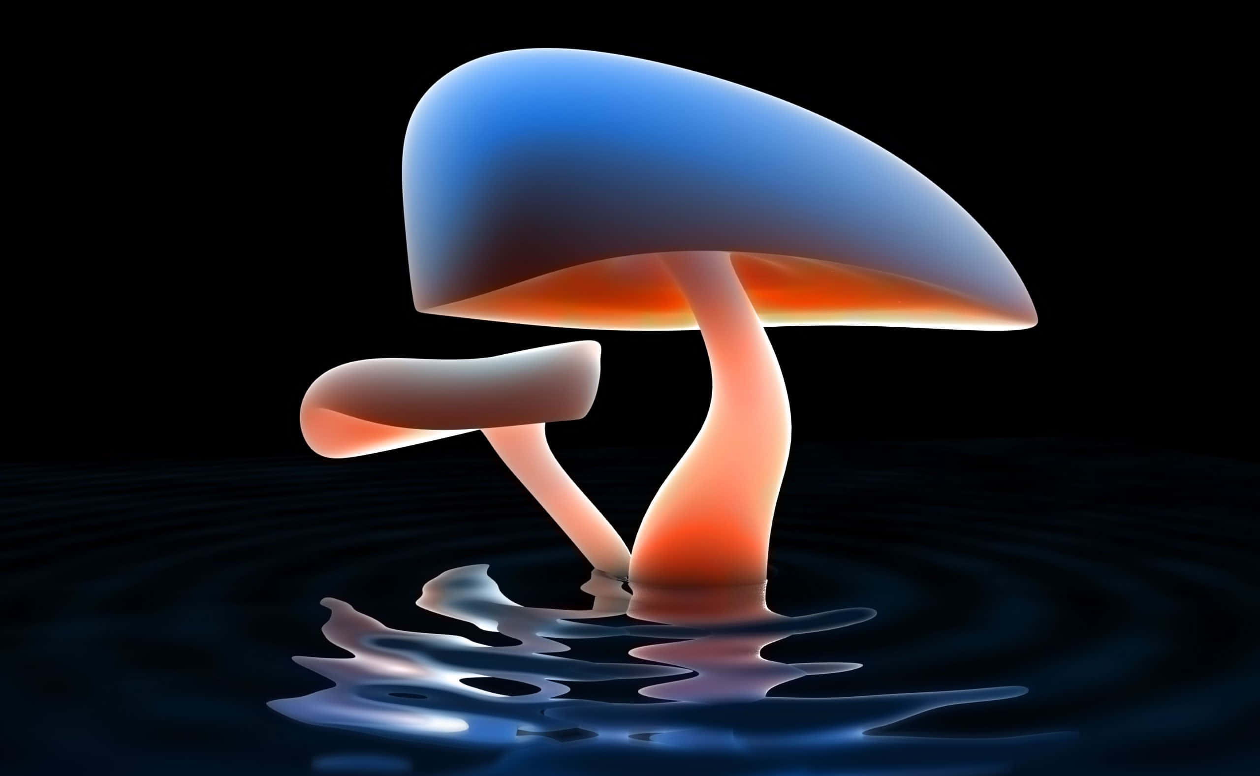 Kawaii Mushroom 桌布 壁紙 — 一朵發光的藍橙色蘑菇從暗水中浮現，漣漪反射出其超現實的光芒。