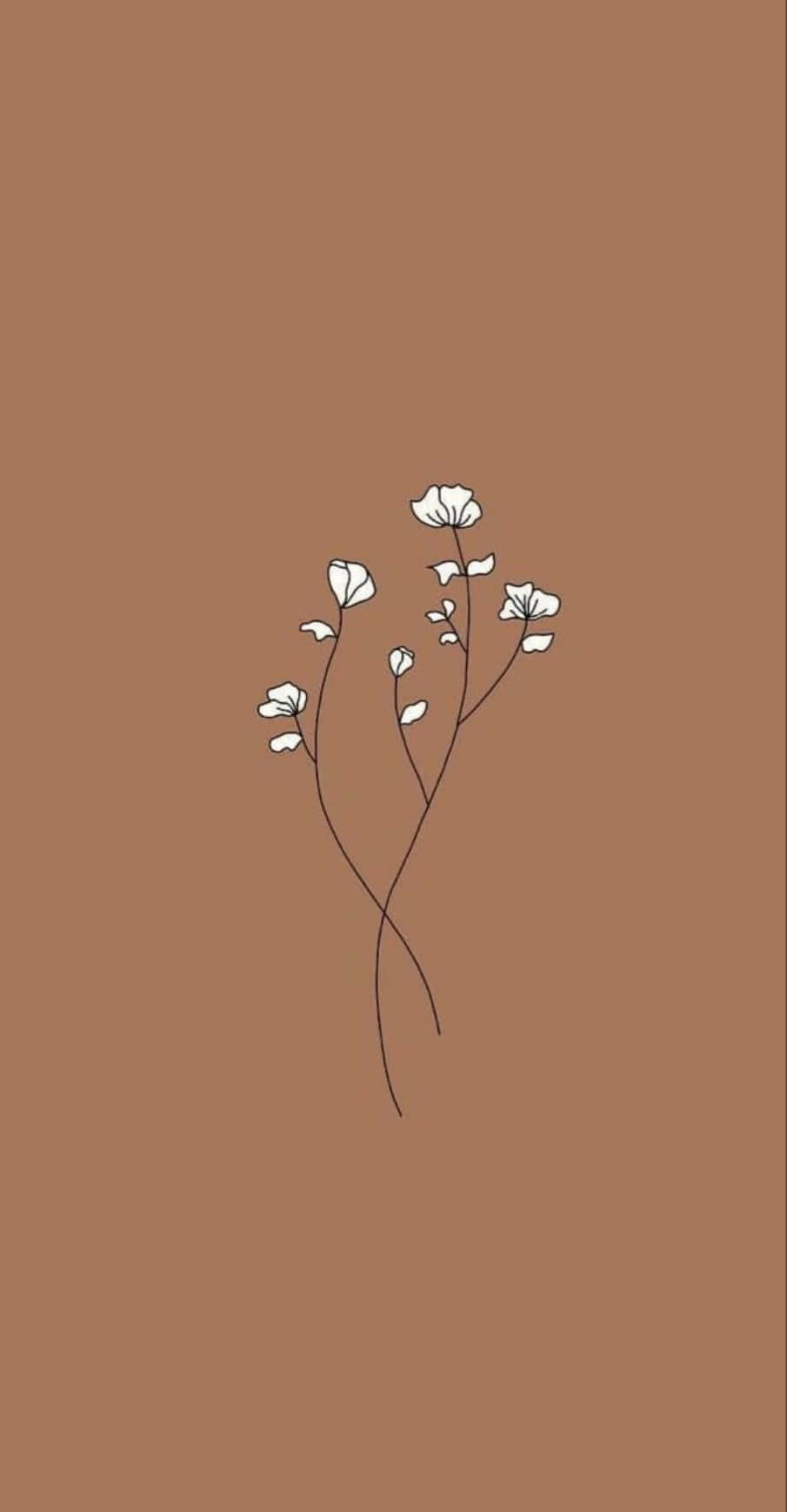 一朵白花在棕色背景上