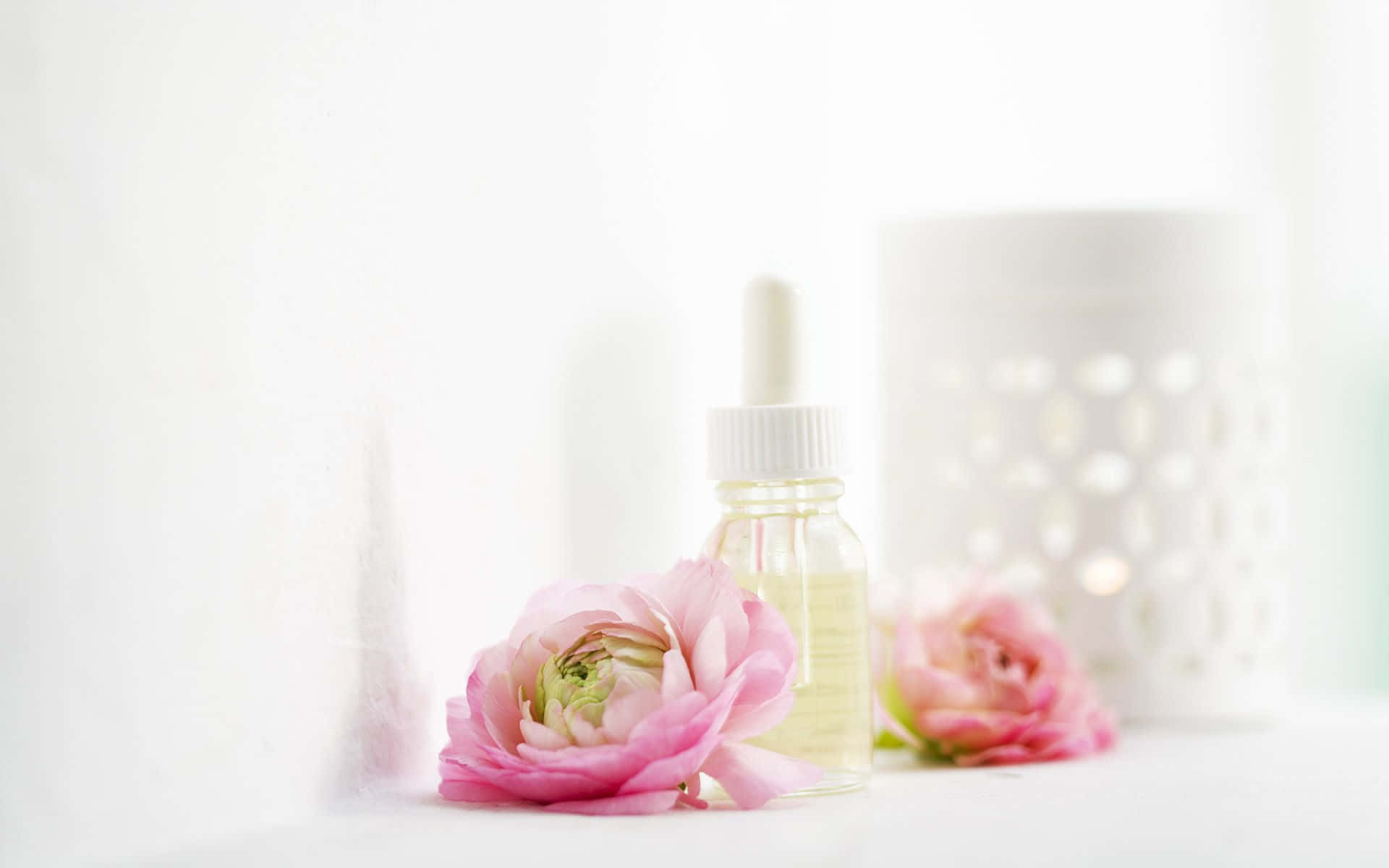 Fragrance 桌布 壁紙 — 一朵精緻的粉紅色毛茛花在柔和的白色背景上，旁邊放著一個玻璃滴管瓶裝精油。