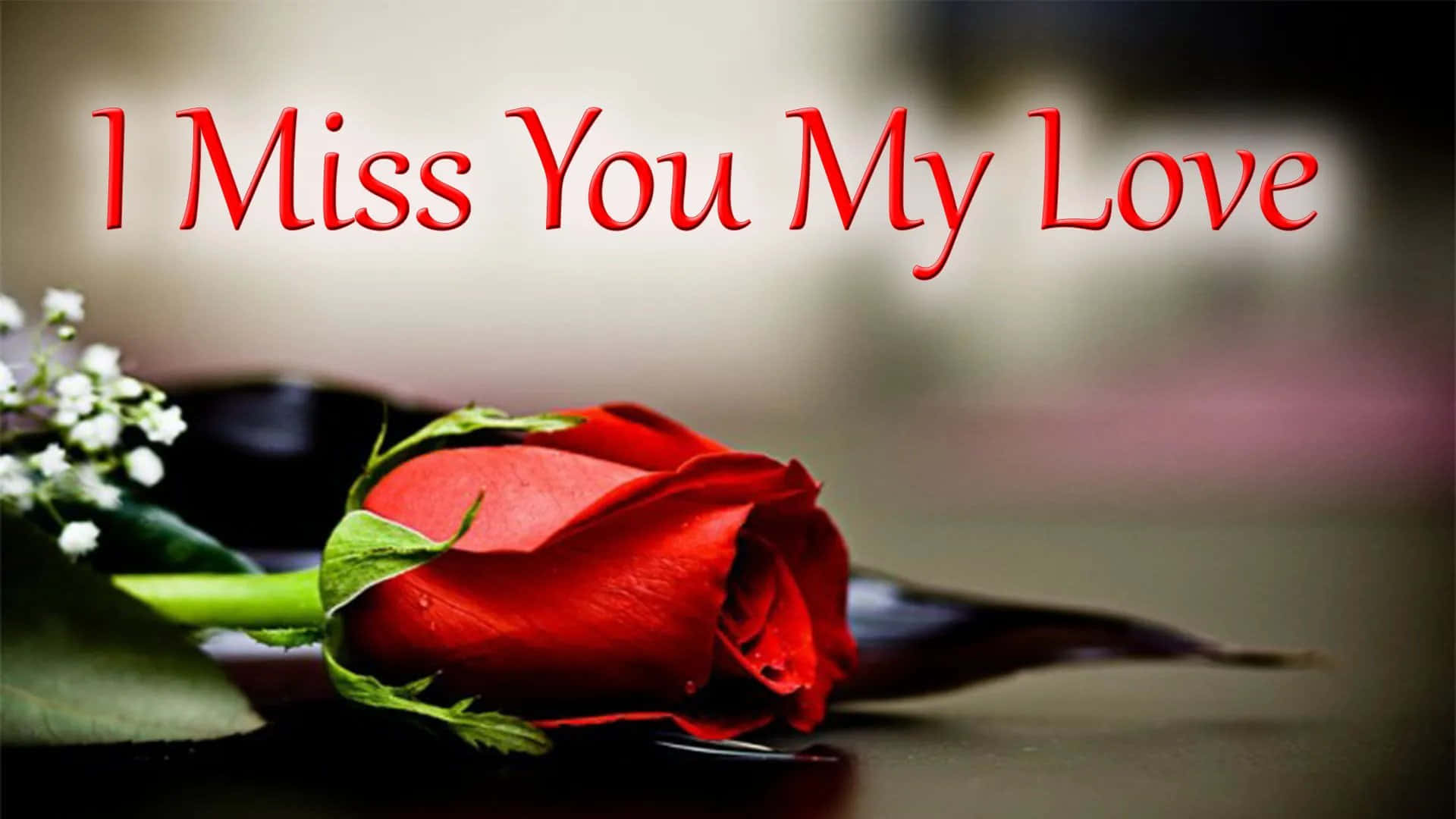 I Miss You 桌布 壁紙 — 一朵紅玫瑰，配以綠葉和白色滿天星，放置在深色表面上，下方有紅色草書文字「I Miss You My Love」。