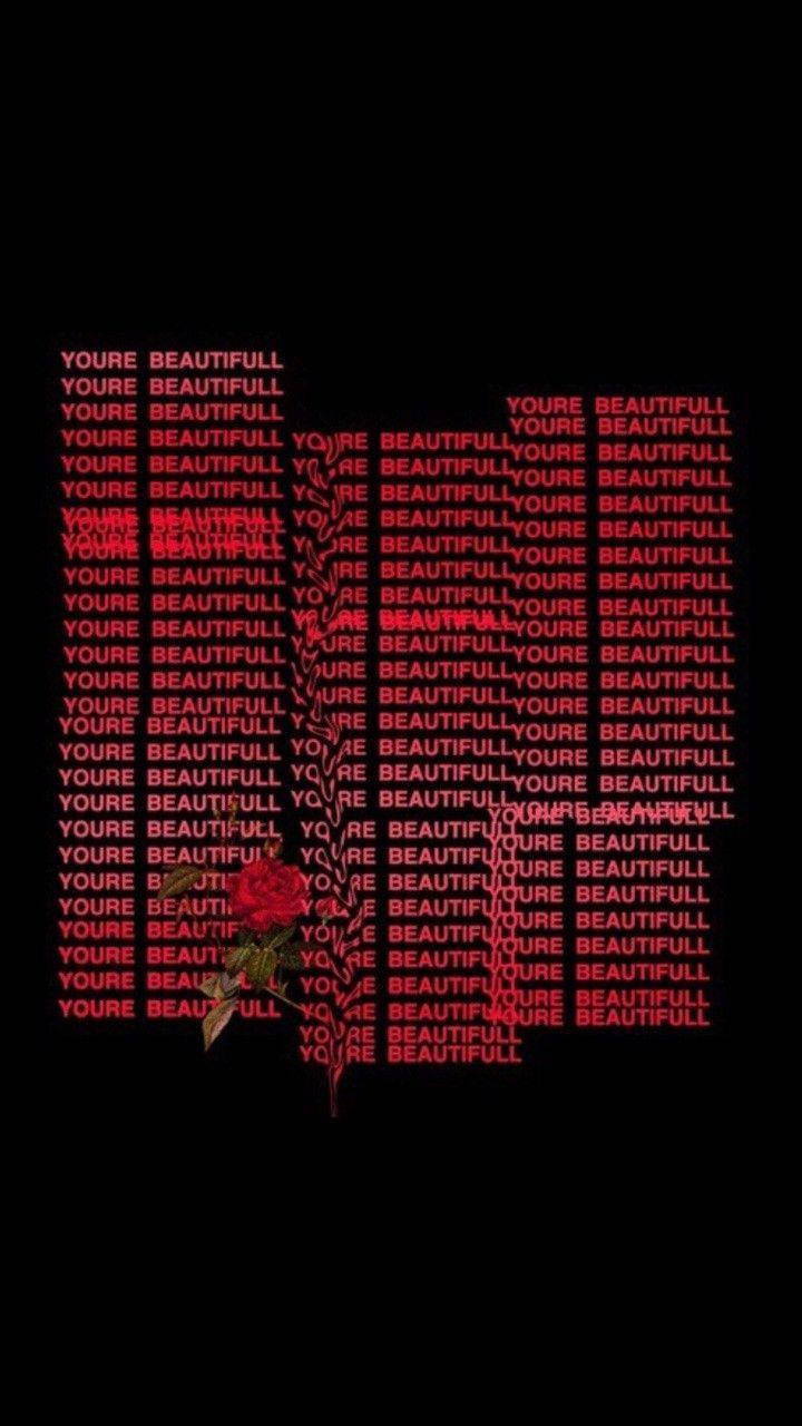 玫瑰美學 桌布 壁紙 — 一朵紅玫瑰從重複的紅色文字「YOU'RE BEAUTIFULL」組成的背景中浮現，背景為黑色。