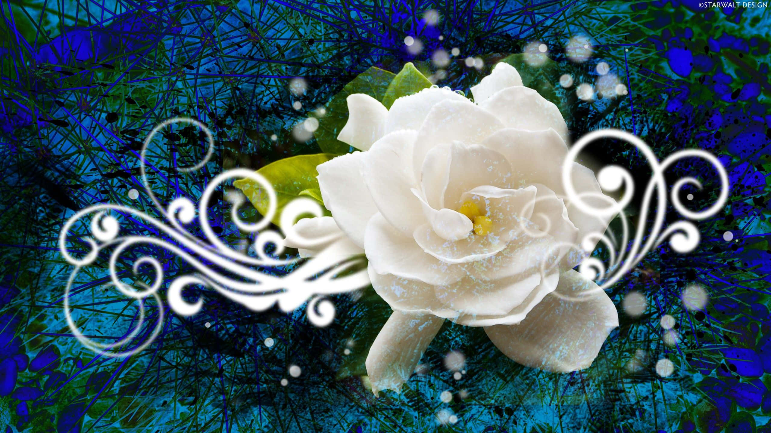 Abstract Rose 桌布 壁紙 — 一朵純潔的白花在深藍色紋理背景上盛開，背景點綴著旋轉的白色花絲和閃爍的散景光點。
