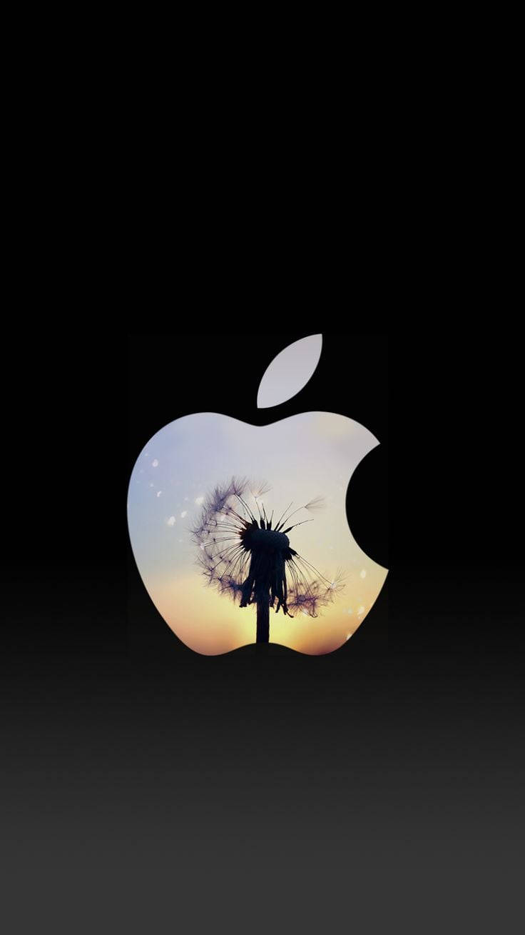 蘋果 桌布 壁紙 — 一朵蒲公英剪影在發光的Apple標誌內綻放，背景是日落時分深色漸變的天空。