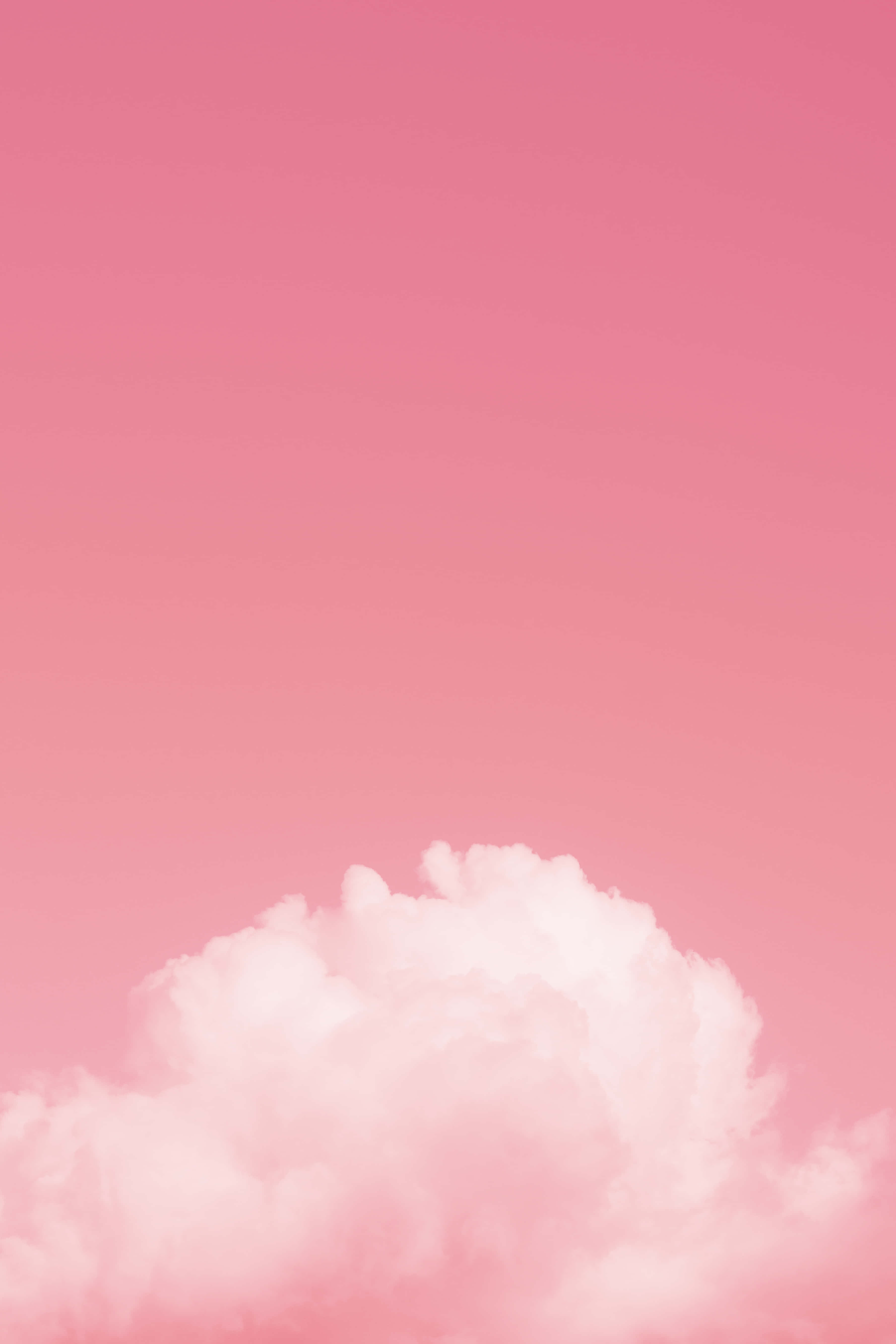 Pink Girly 桌布 壁紙 — 一朵蓬鬆的白雲漂浮在漸變粉紅色的天空中，構成極簡主義的構圖。