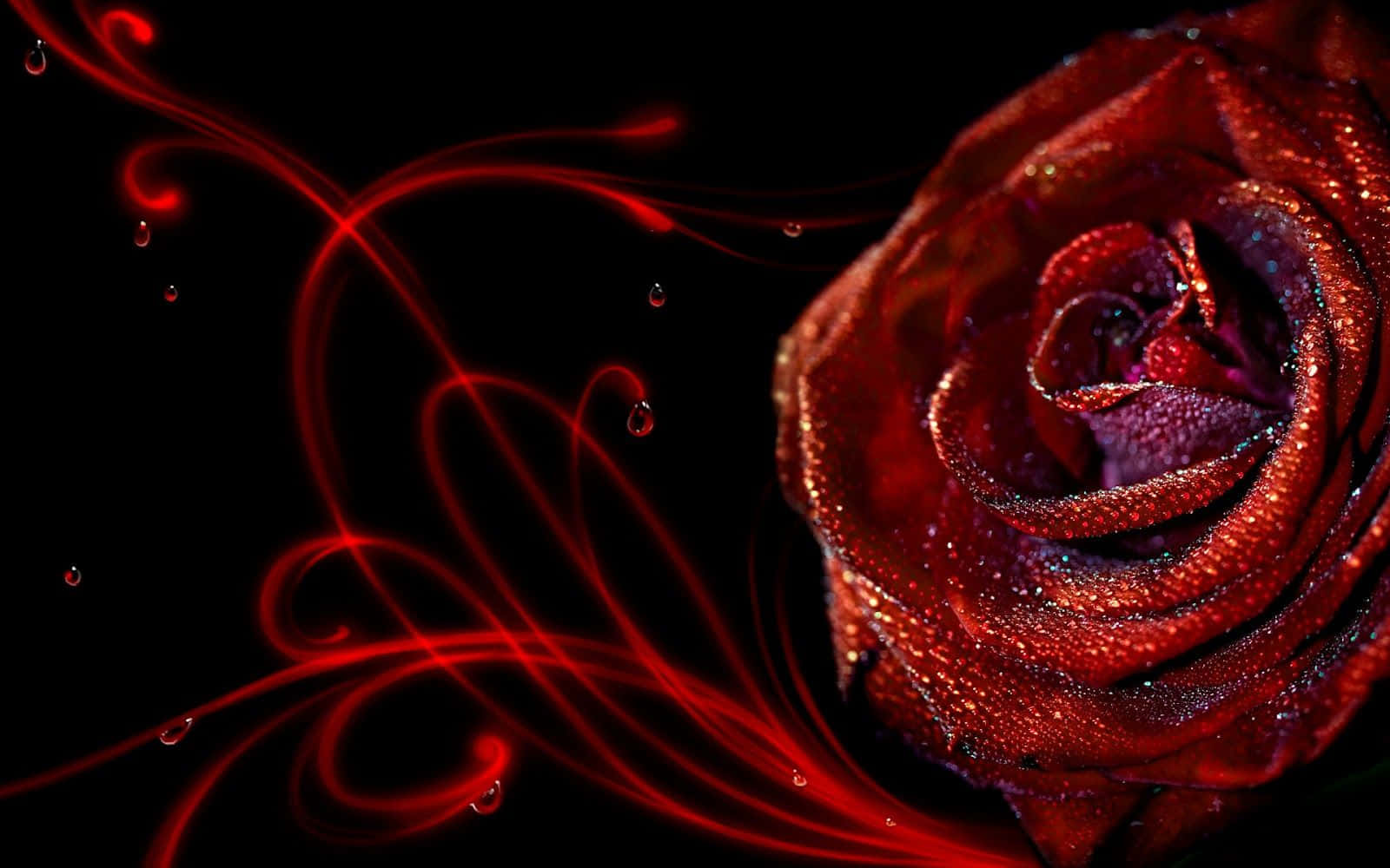 Abstract Rose 桌布 壁紙 — 一朵閃閃發光的紅玫瑰，帶有露珠和旋轉的紅色卷鬚，襯著純黑色背景。
