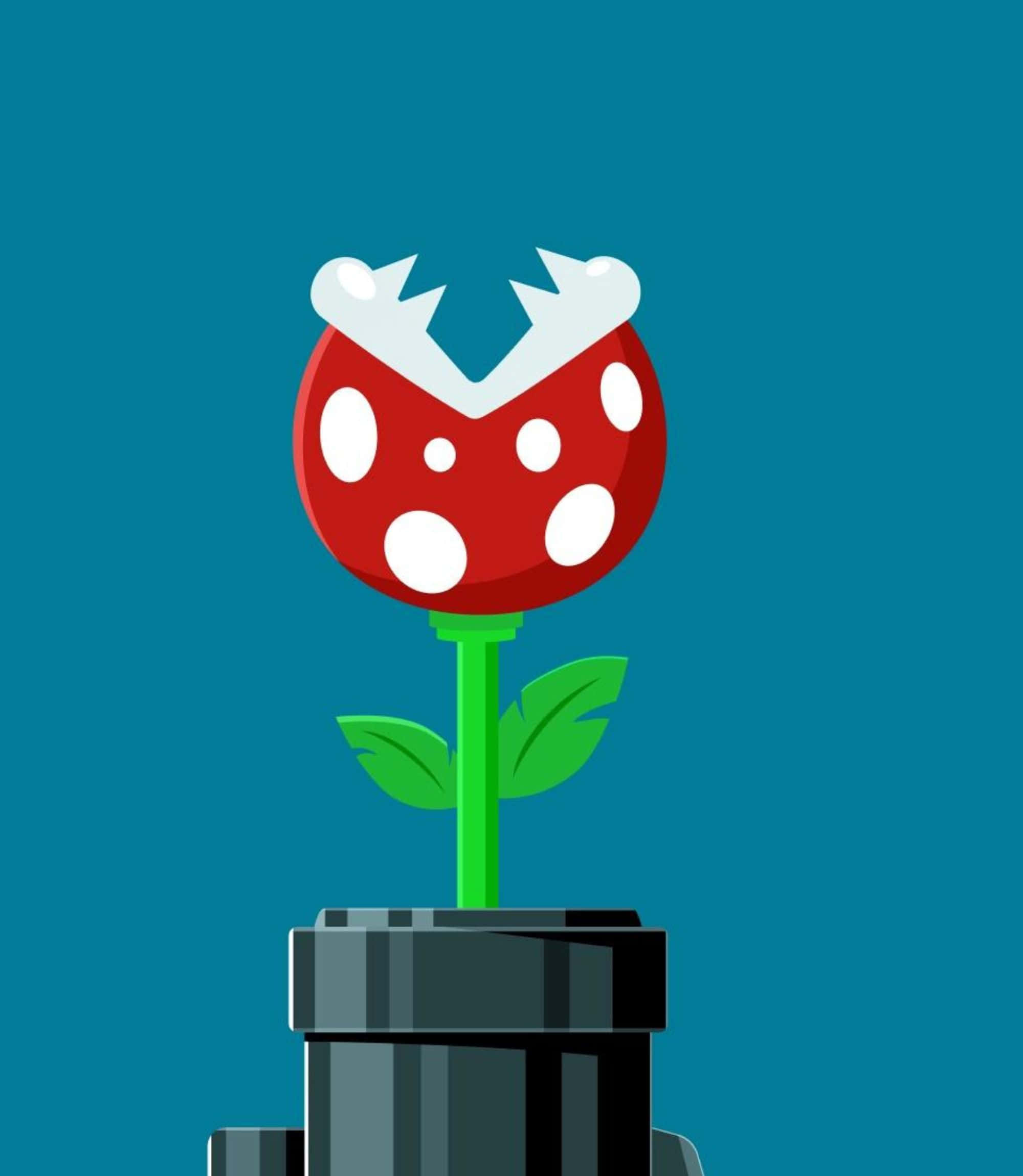 piranha plant 桌布 壁紙 — 一朵風格化的紅白斑點花，帶有綠色葉子，從灰色管道中長出，背景為純青色。
