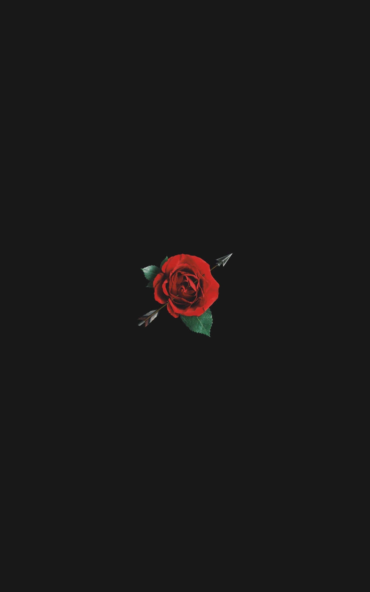 Aesthetic Rose 桌布 壁紙 — 一朵鮮紅的玫瑰被一支銀箭貫穿，置於純黑背景中央。