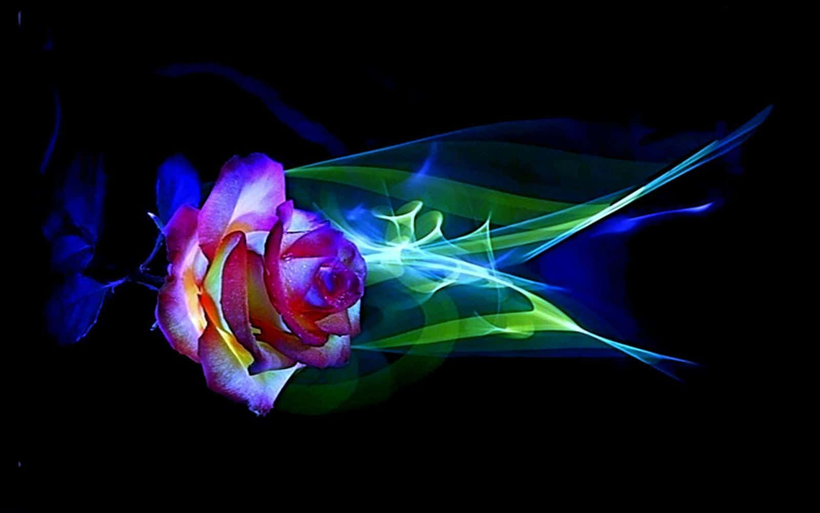 Abstract Rose 桌布 壁紙 — 一朵鮮豔多彩的玫瑰在純黑背景下散發出發光的霓虹能量流。