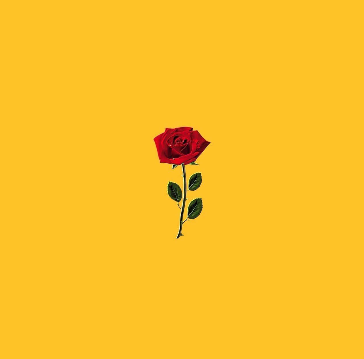 Aesthetic Rose 桌布 壁紙 — 一朵鮮豔的紅玫瑰，帶有綠葉，在純色暖黃色背景上居中。