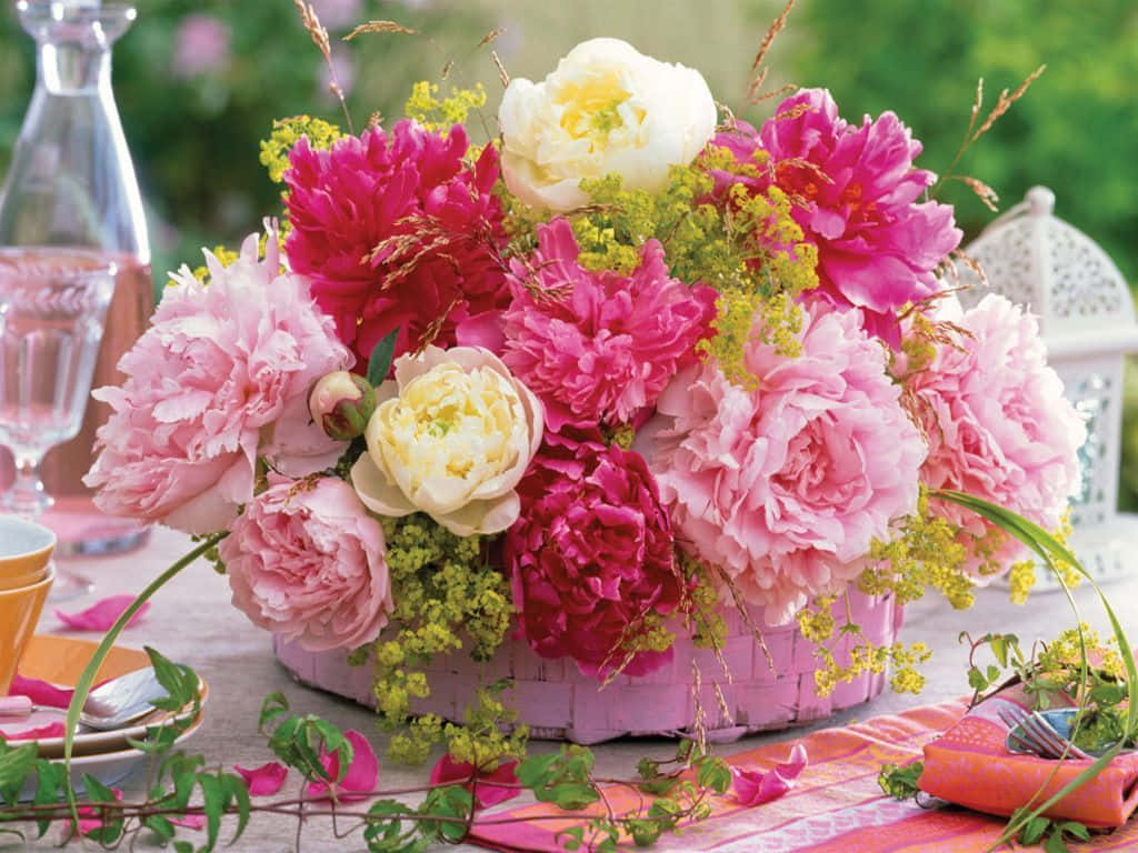 Flower Arrangement 桌布 壁紙 — 一束充滿活力的粉紅和白色牡丹花，配以黃色填充花，從一個粉紅色編織籃子中溢出，放在陽光普照的戶外桌子上。