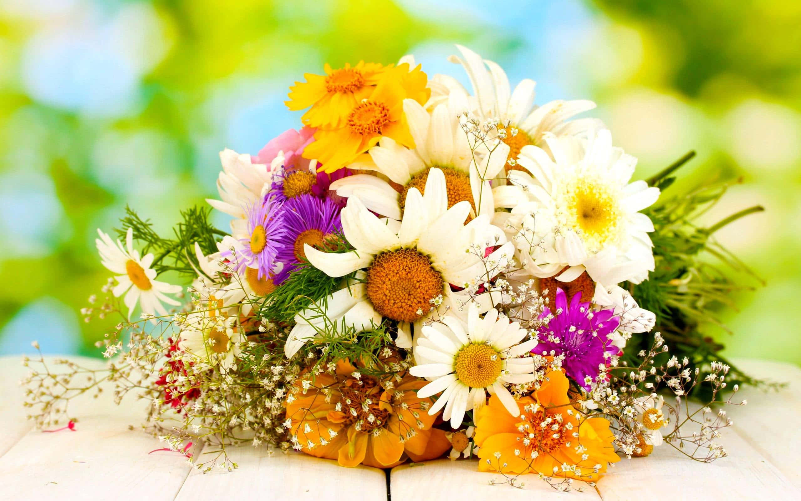 Floral Arrangement 桌布 壁紙 — 一束充滿活力的雛菊、紫菀和滿天星，放在白色木質表面上，背景是明亮的綠色散景。