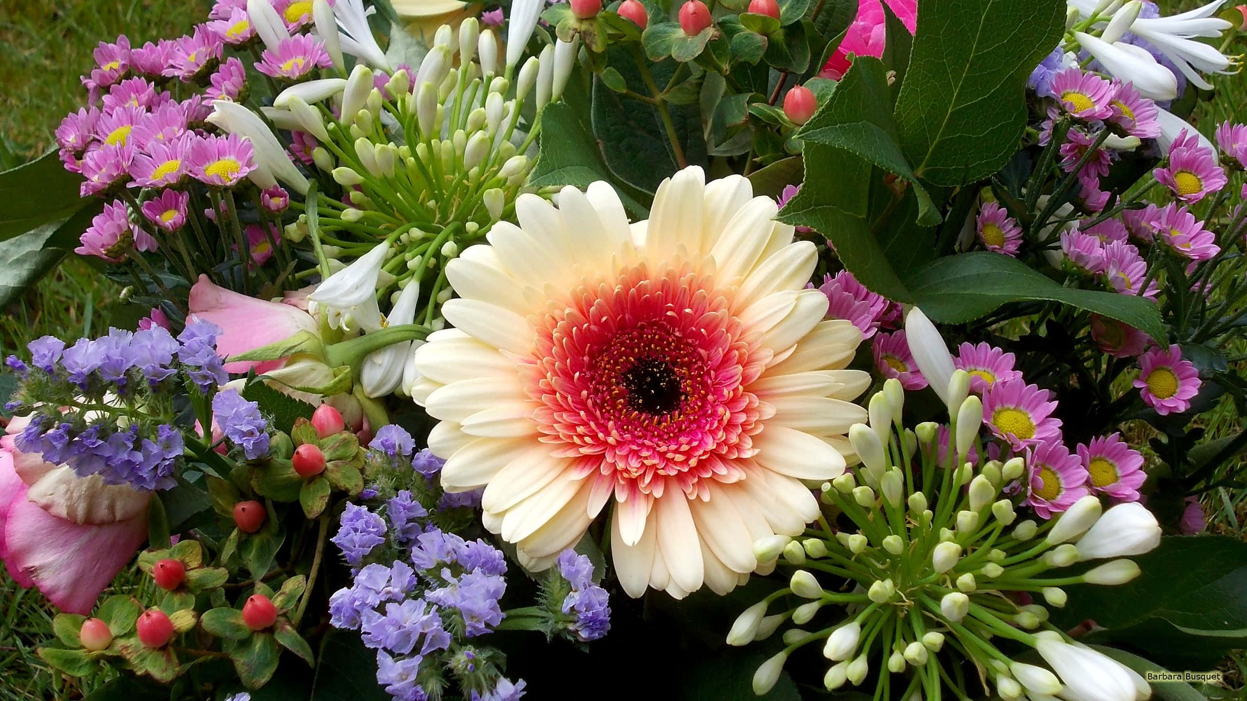Flower Arrangement 桌布 壁紙 — 一束充滿活力的非洲菊雛菊、粉紅雛菊、紫色花朵和綠色葉子，細節豐富自然。
