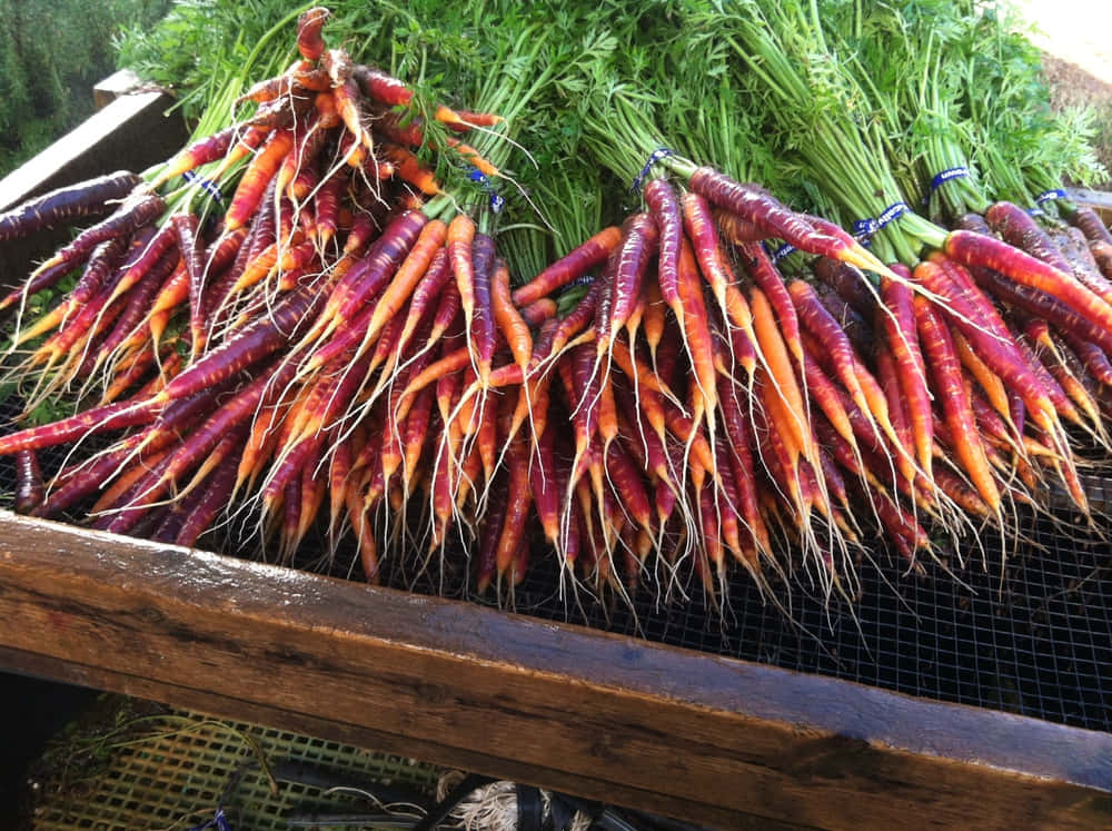 Purple Carrots 桌布 壁紙 — 一束束鮮豔的橙色和紫色胡蘿蔔，帶著新鮮的綠色頂部，展示在木製市場箱中。
