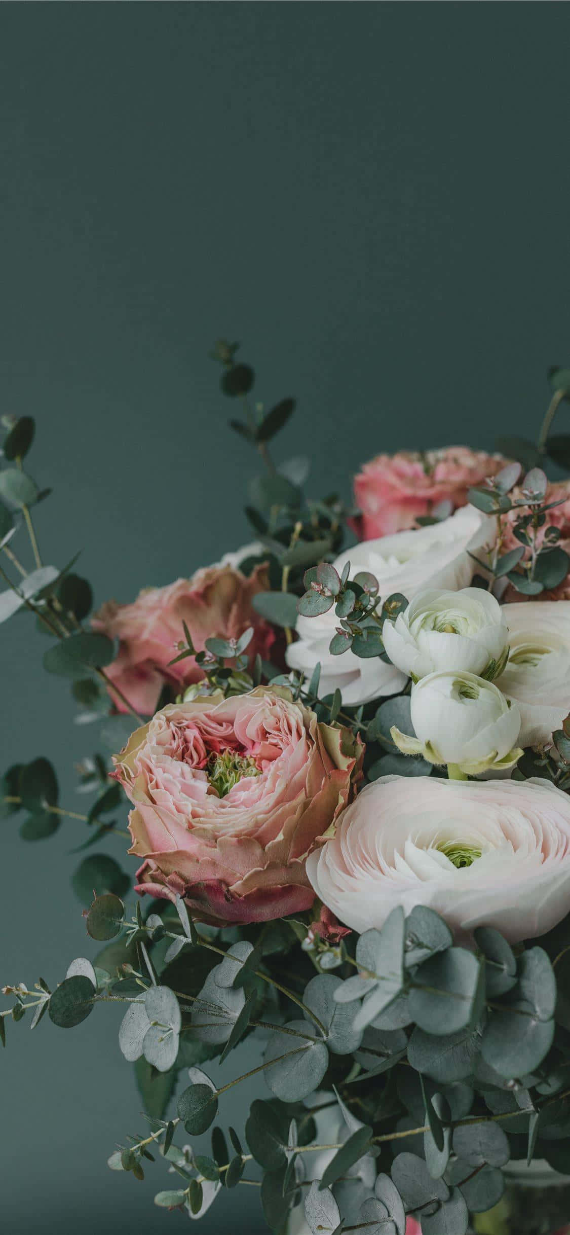 Floral Arrangement 桌布 壁紙 — 一束柔和的粉白色毛茛和玫瑰，搭配尤加利葉，襯以柔和的青綠色背景。