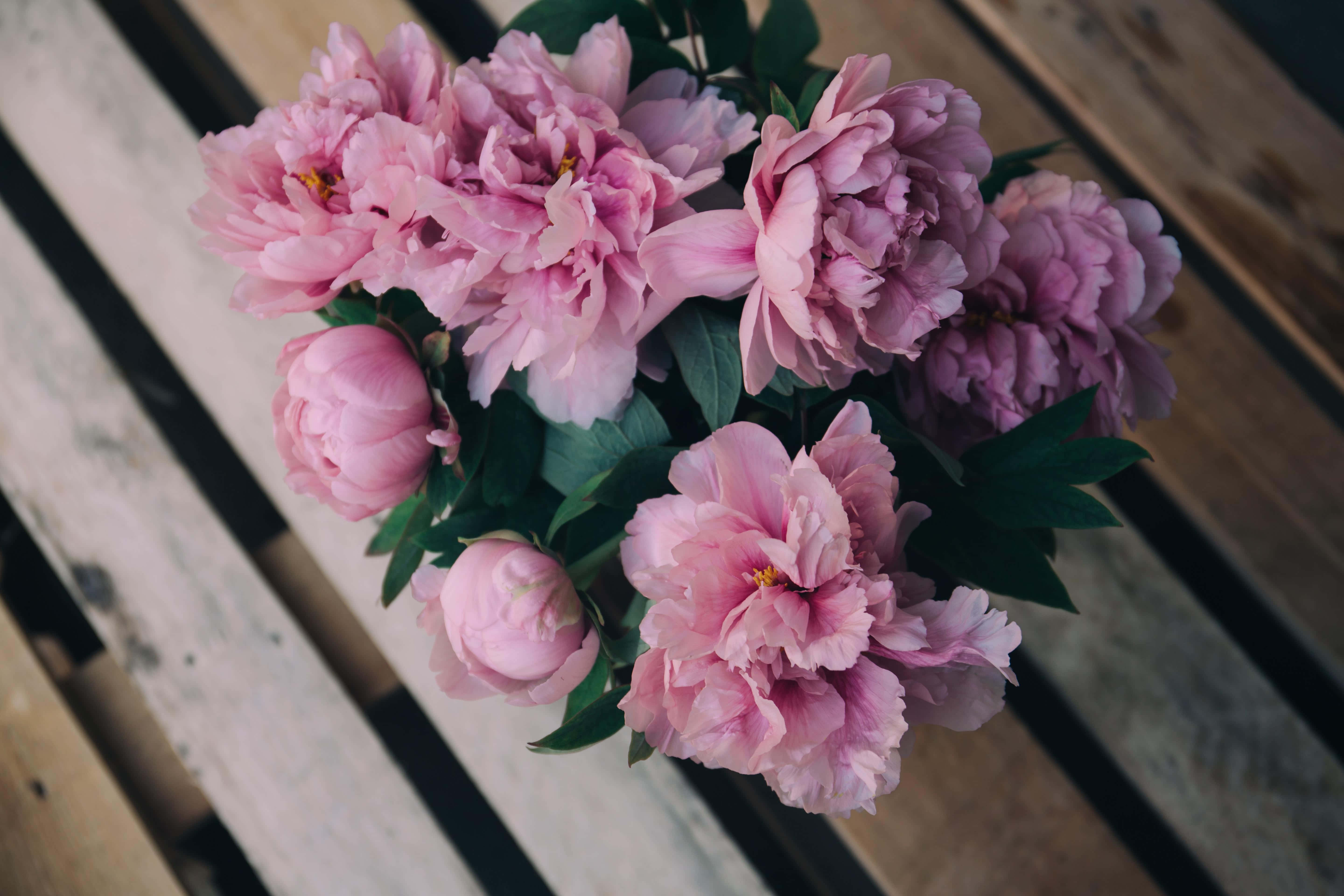 Peony 桌布 壁紙 — 一束柔和的粉紅色牡丹花與綠葉，俯視放置在風化的木板上。