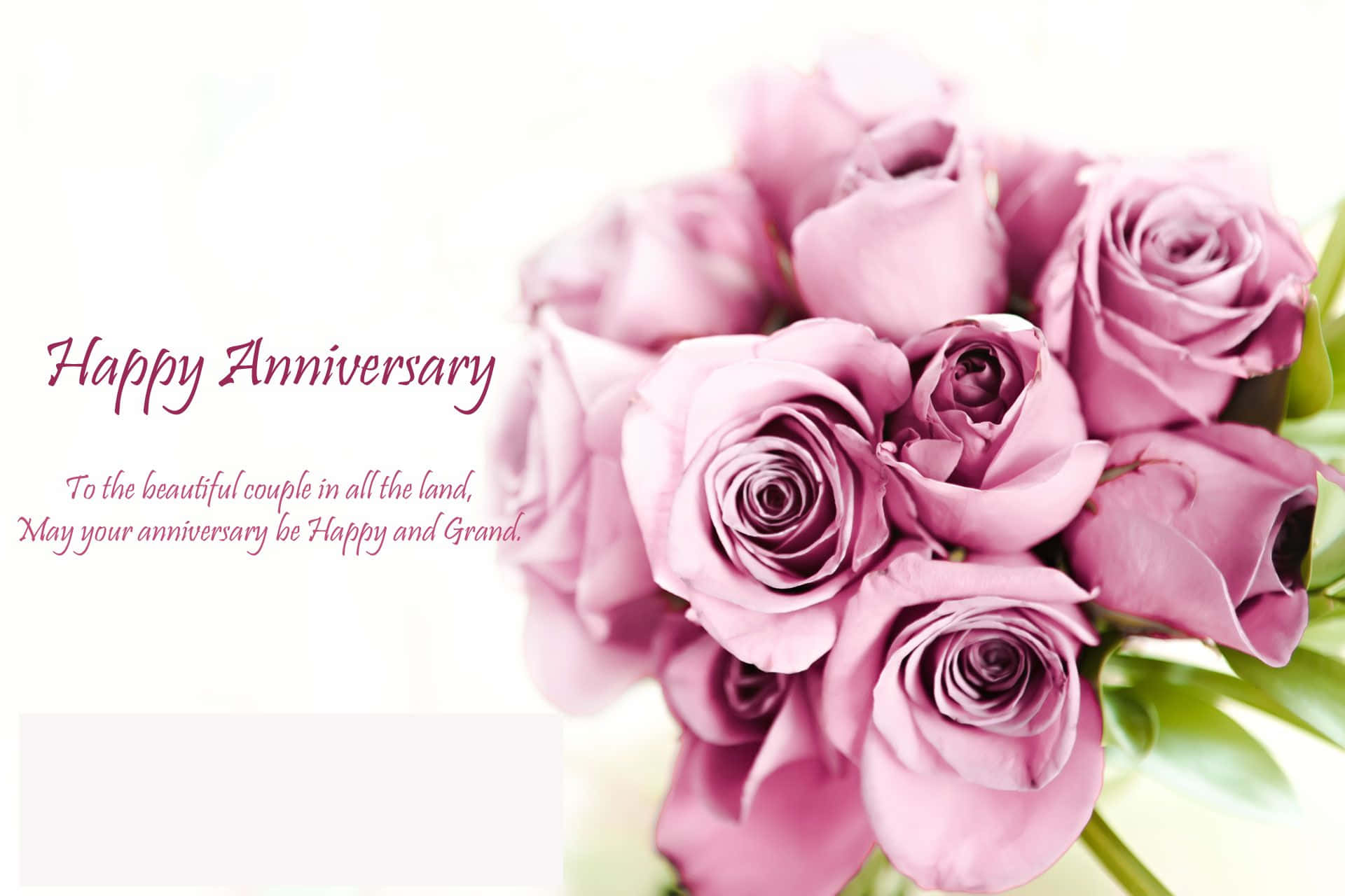 Happy Anniversary 桌布 壁紙 — 一束柔焦的淡紫色玫瑰，帶有優雅的手寫體週年紀念文字，背景為亮白色。