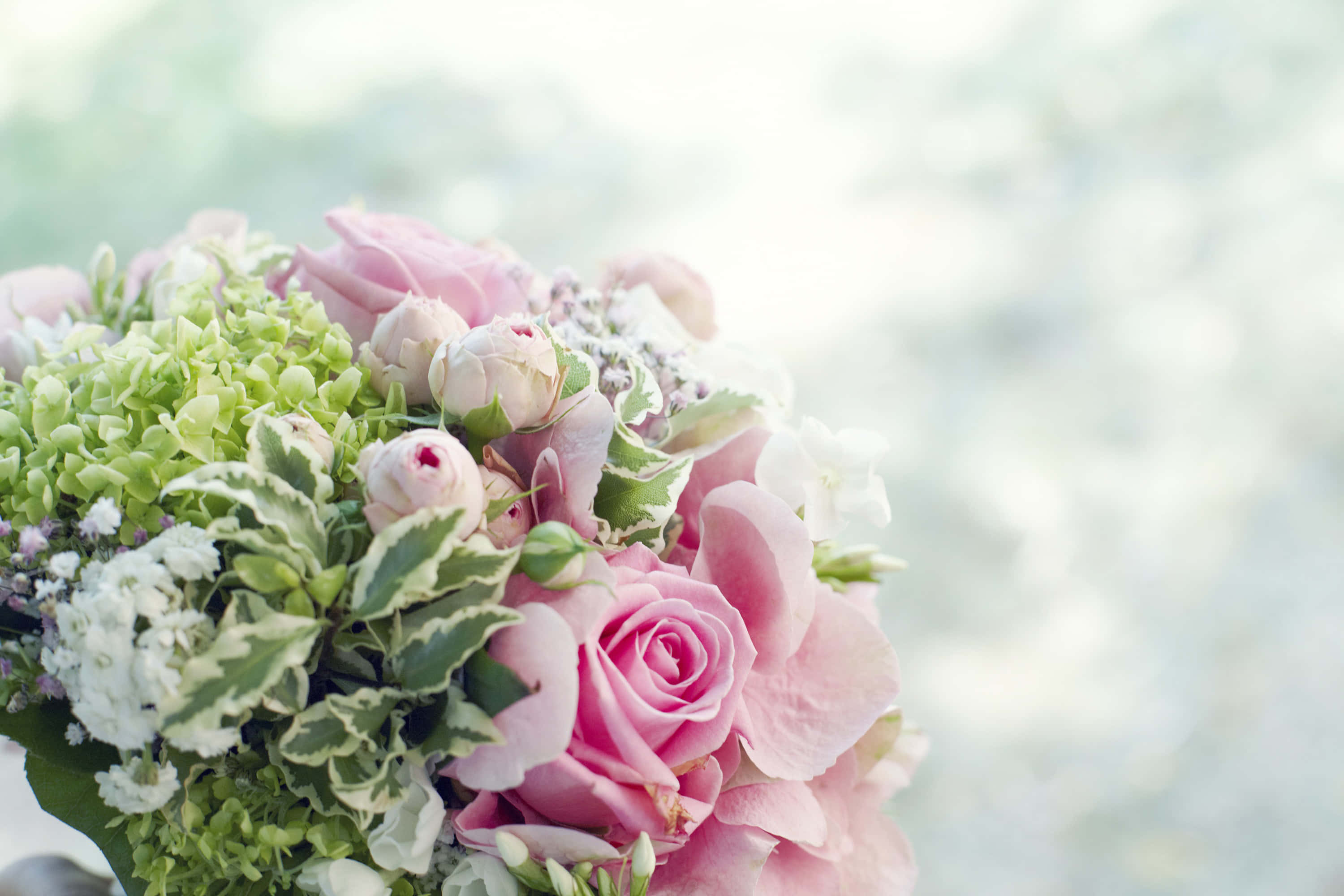 Wedding Bouquet 桌布 壁紙 — 一束柔焦的粉紅玫瑰和綠色繡球花，帶有白色點綴，在明亮模糊的背景中綻放。