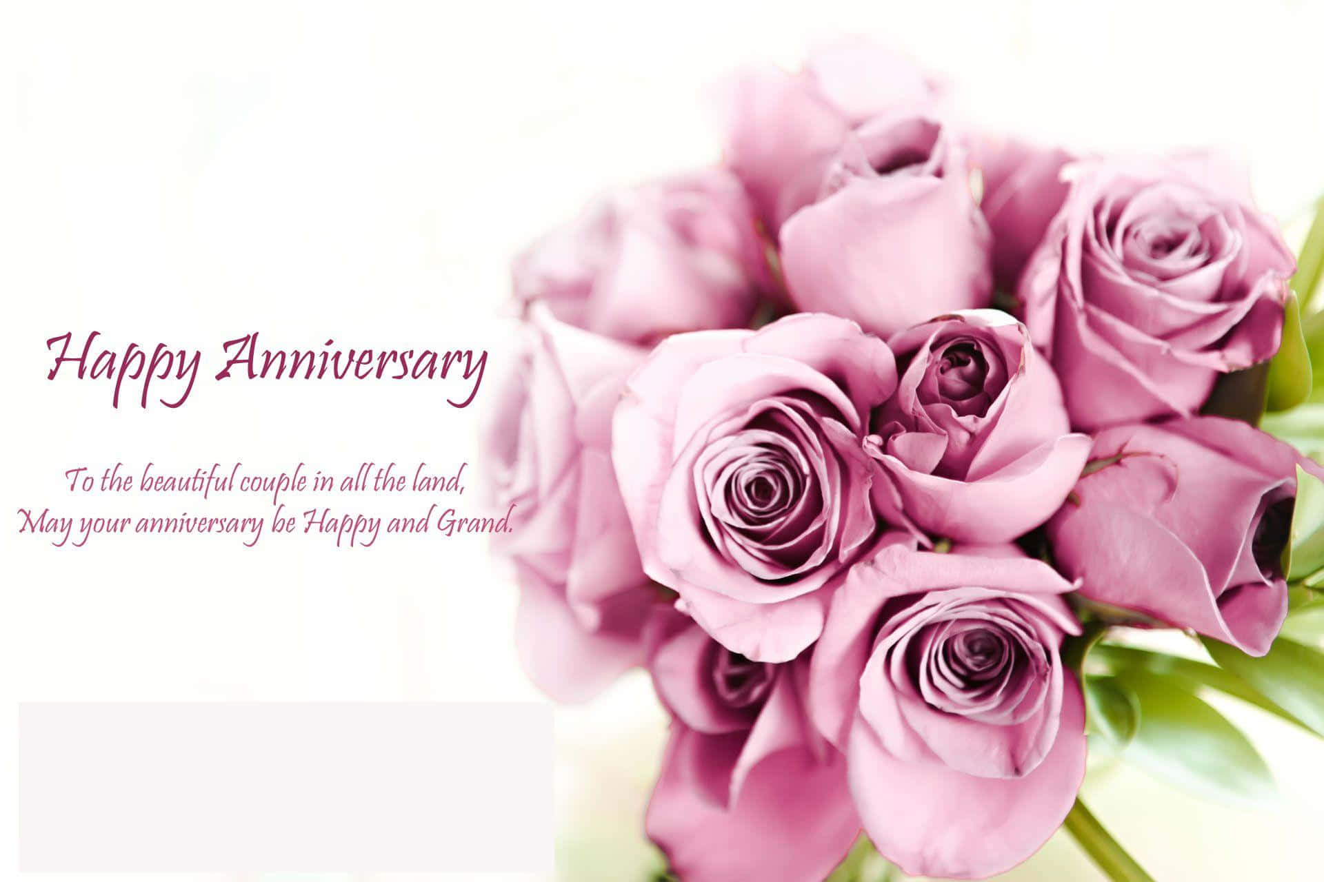 Happy Anniversary 桌布 壁紙 — 一束柔焦粉紅玫瑰，在明亮的白色背景上帶有優雅的週年紀念文字。