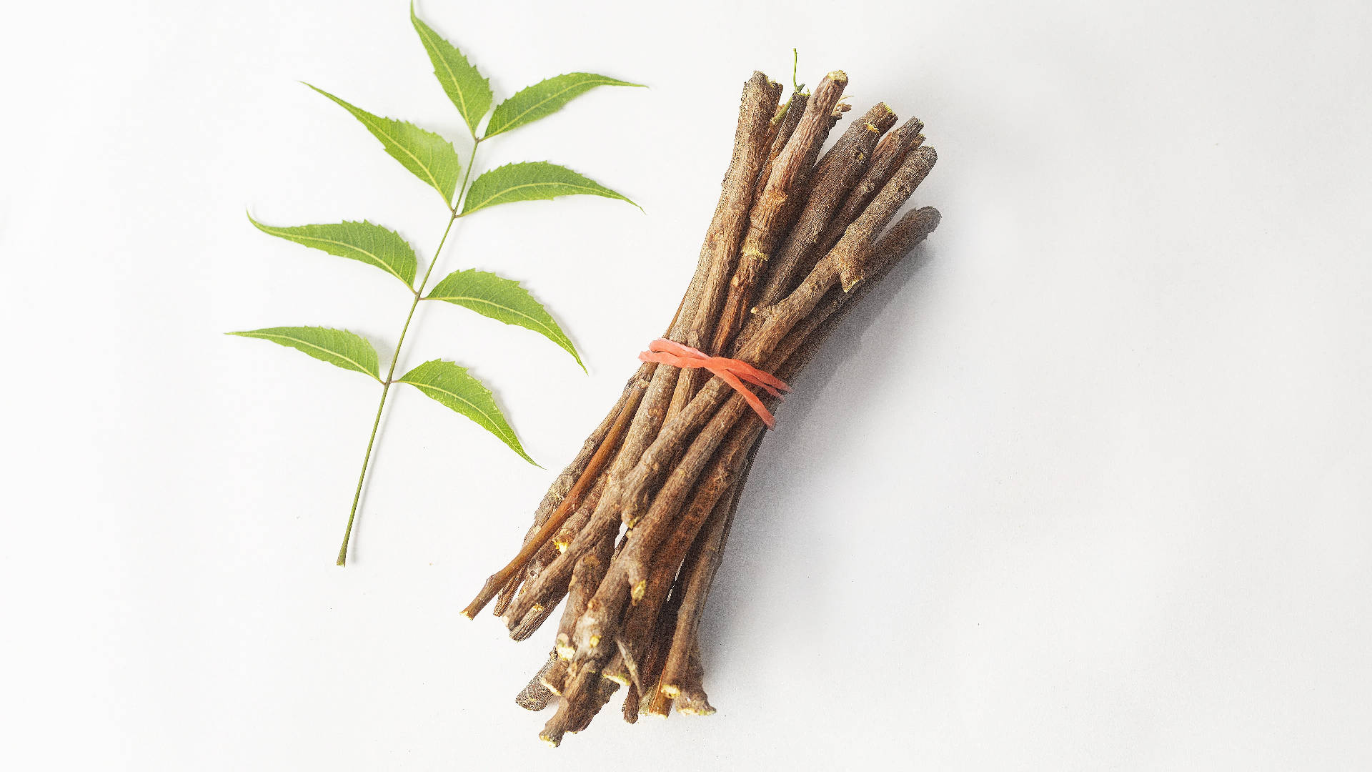 樹葉 桌布 壁紙 — 一束粗糙的棕色樹枝用橙色帶子綁著，放在潔白的表面上，旁邊是一片鮮綠色的葉子。