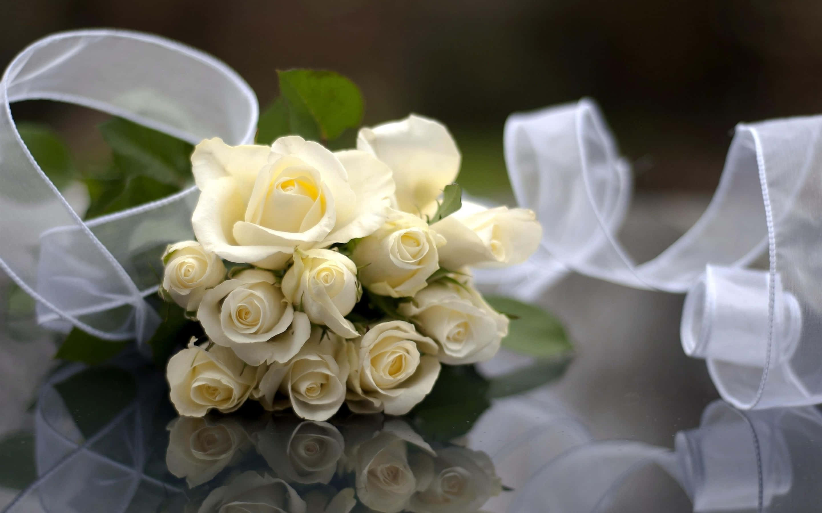 Wedding Bouquet 桌布 壁紙 — 一束精緻的奶油白玫瑰，搭配綠葉和半透明白色絲帶，放置在反光玻璃表面上。