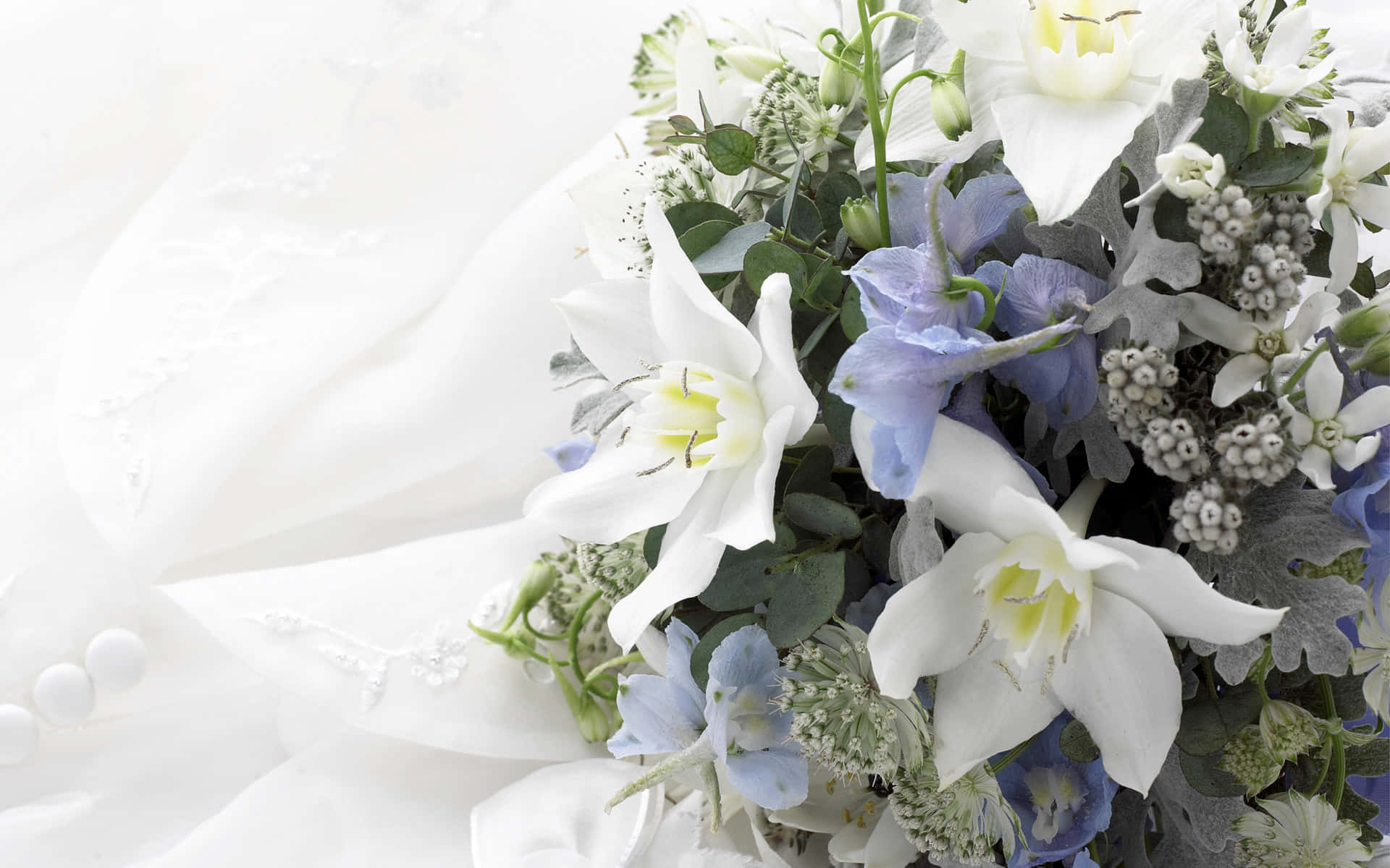 Wedding Bouquet 桌布 壁紙 — 一束精緻的白百合和藍色飛燕草放在一件帶有珍珠鈕扣的白色婚紗旁邊。