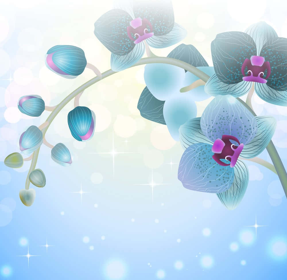 Orchid 桌布 壁紙 — 一束精緻的藍色蘭花，帶有粉紅色花心，在柔和發光的背景中綻放，伴隨著閃爍的光芒。