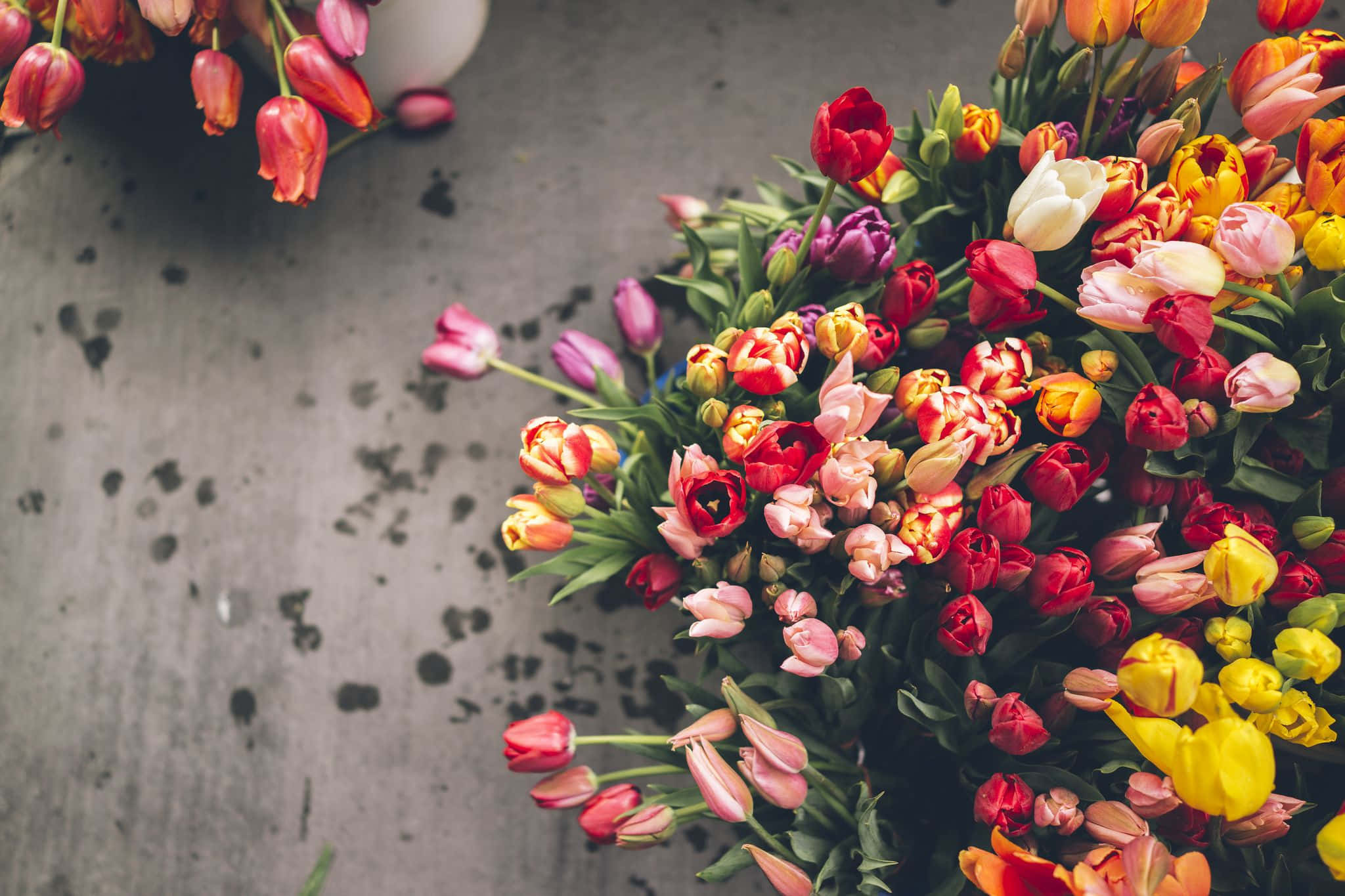 Floral Arrangement 桌布 壁紙 — 一束色彩繽紛的鬱金香在風化的灰色混凝土表面上散開，呈現動態的俯拍效果。