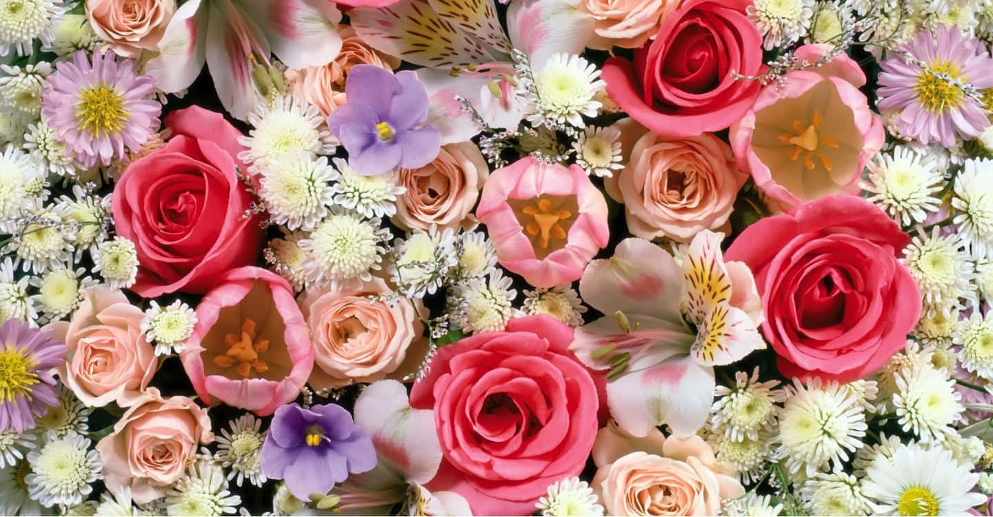 Colorful Flowers 桌布 壁紙 — 一束茂盛的粉紅玫瑰、紫色六出花和白色雛菊，呈現柔和粉彩調。