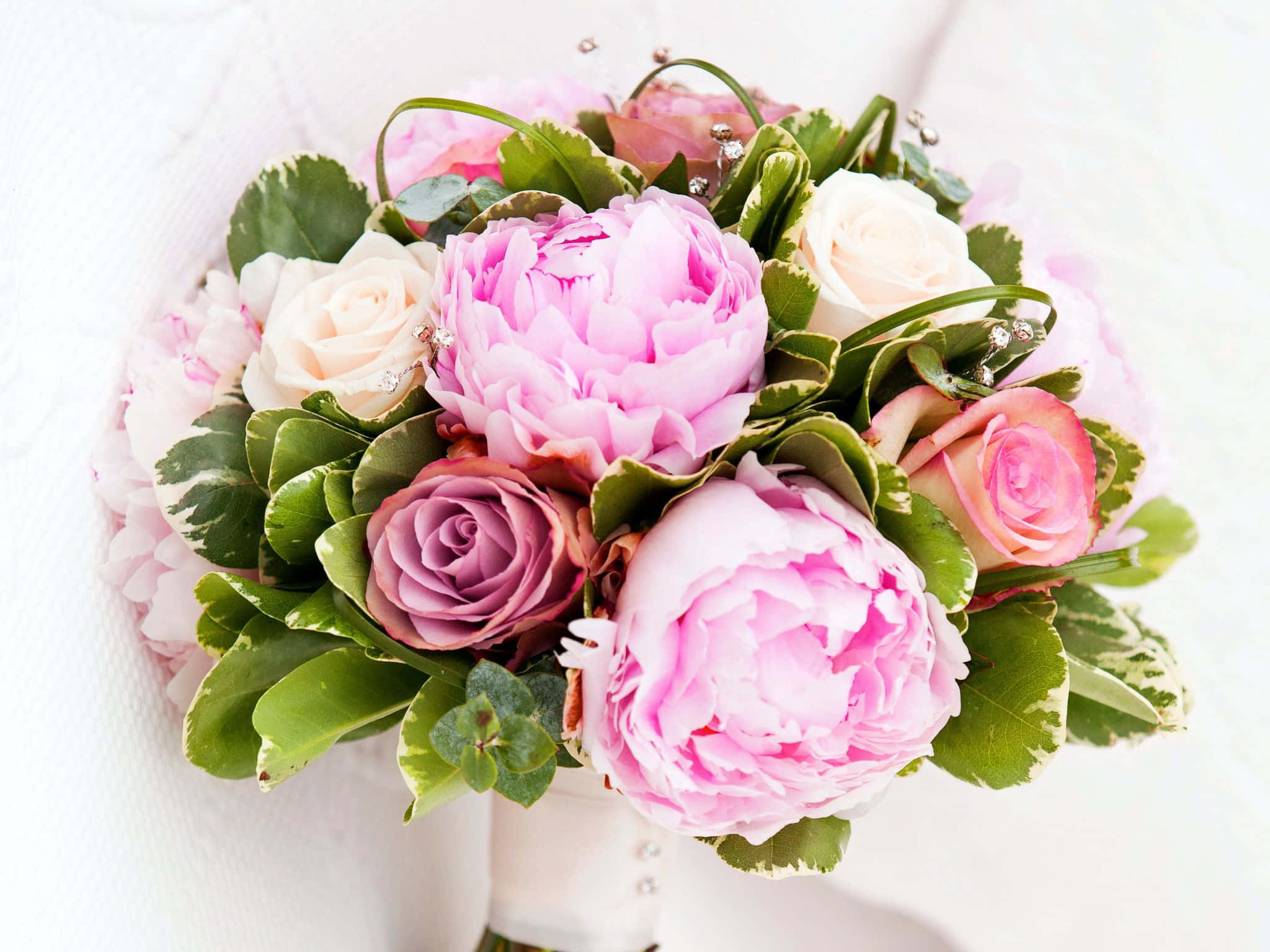Flower Arrangement 桌布 壁紙 — 一束豐盛的粉紅色牡丹、玫瑰和綠葉，用白色絲帶包裹，襯托在柔和的白色背景上。