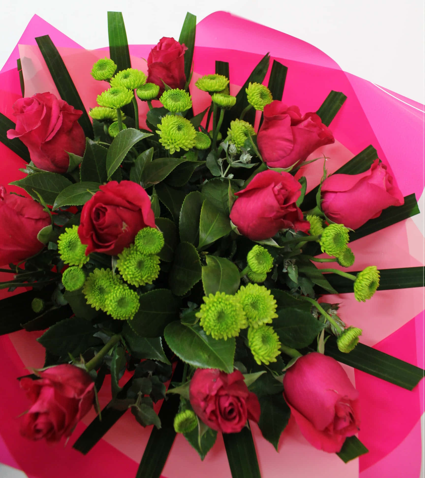 Flower Bouquet 桌布 壁紙 — 一束鮮豔的深紅玫瑰和亮綠色菊花，用粉紅色紙包裹。