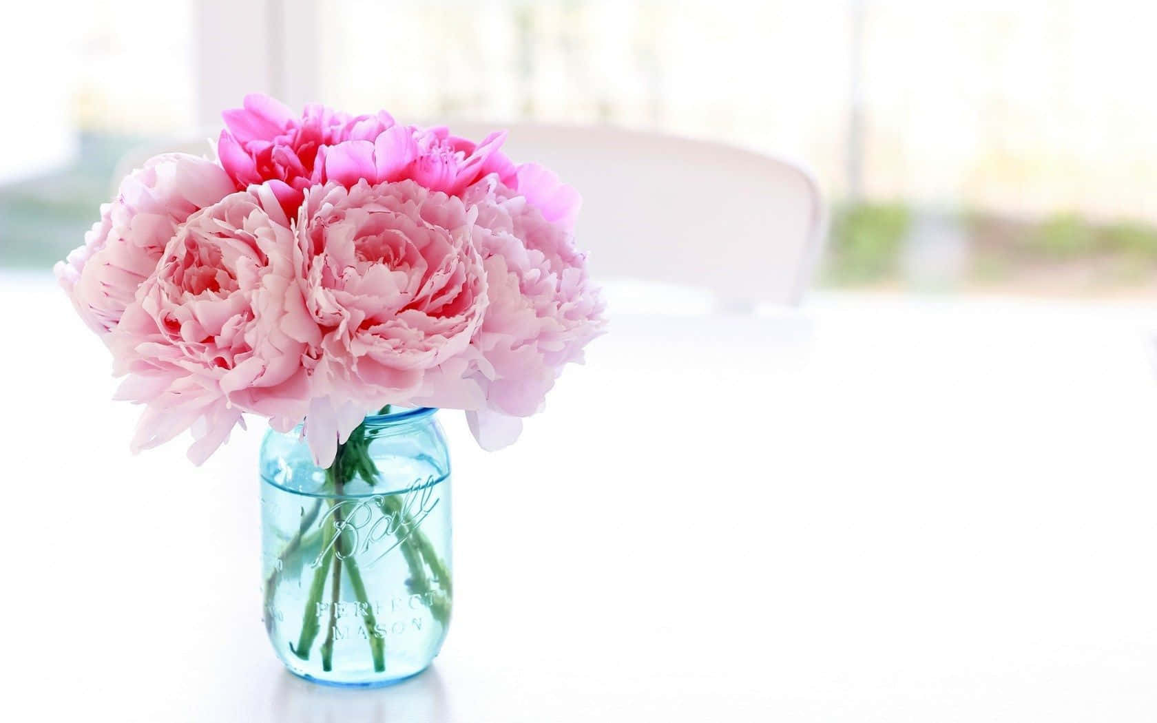Peony 桌布 壁紙 — 一束鮮豔的粉紅色牡丹花插在藍色梅森罐中，放在窗邊明亮的白色桌子上。