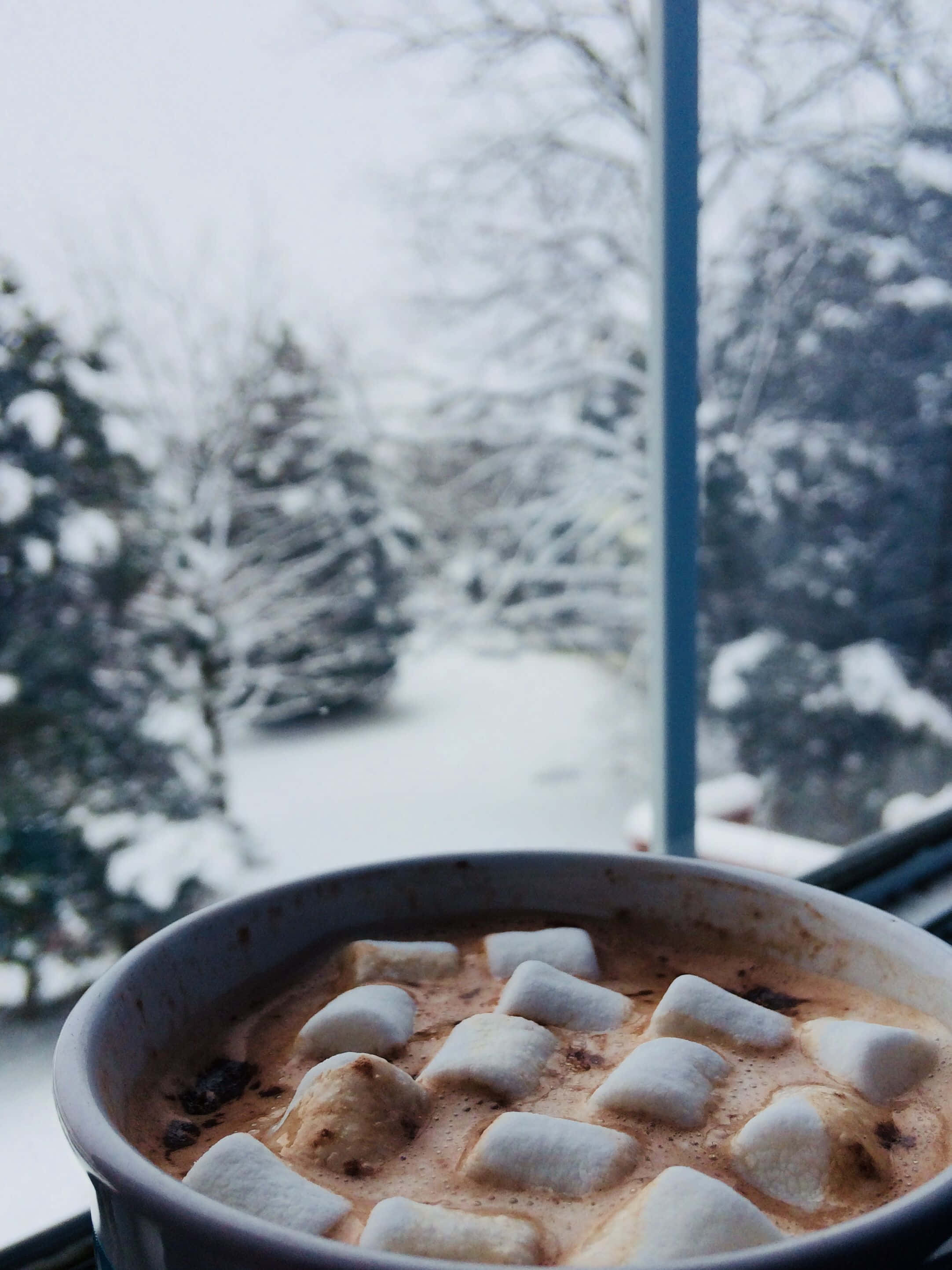 Winter Food 桌布 壁紙 — 一杯冒著熱氣的熱朱古力，上面放著棉花糖，放在窗邊，窗外是白雪皚皚的冬日景色。