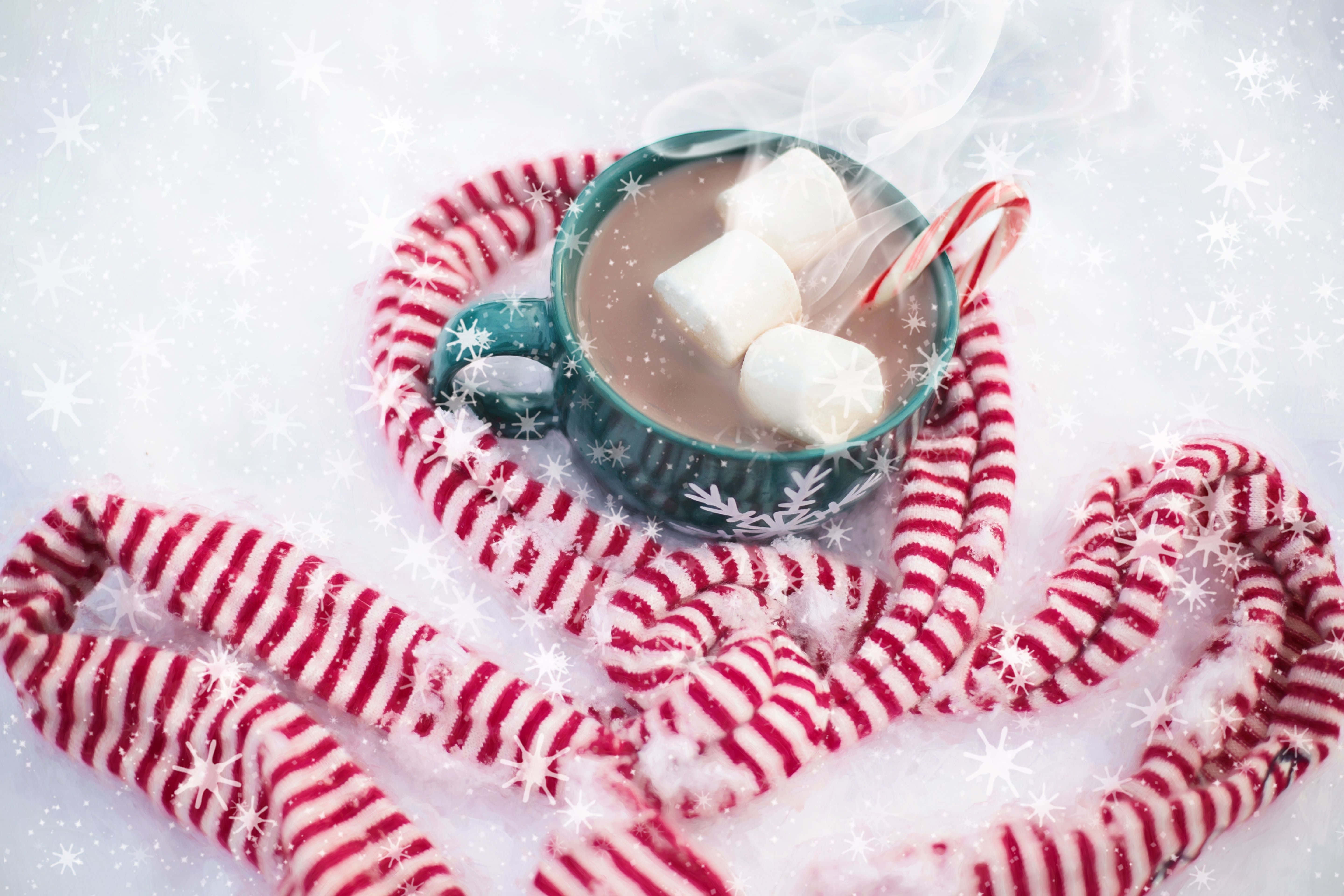 Hot Chocolate 桌布 壁紙 — 一杯冒著熱氣的熱朱古力，上面有棉花糖和拐杖糖，放在一條紅白間條的頸巾上，背景是飄雪的雪地。