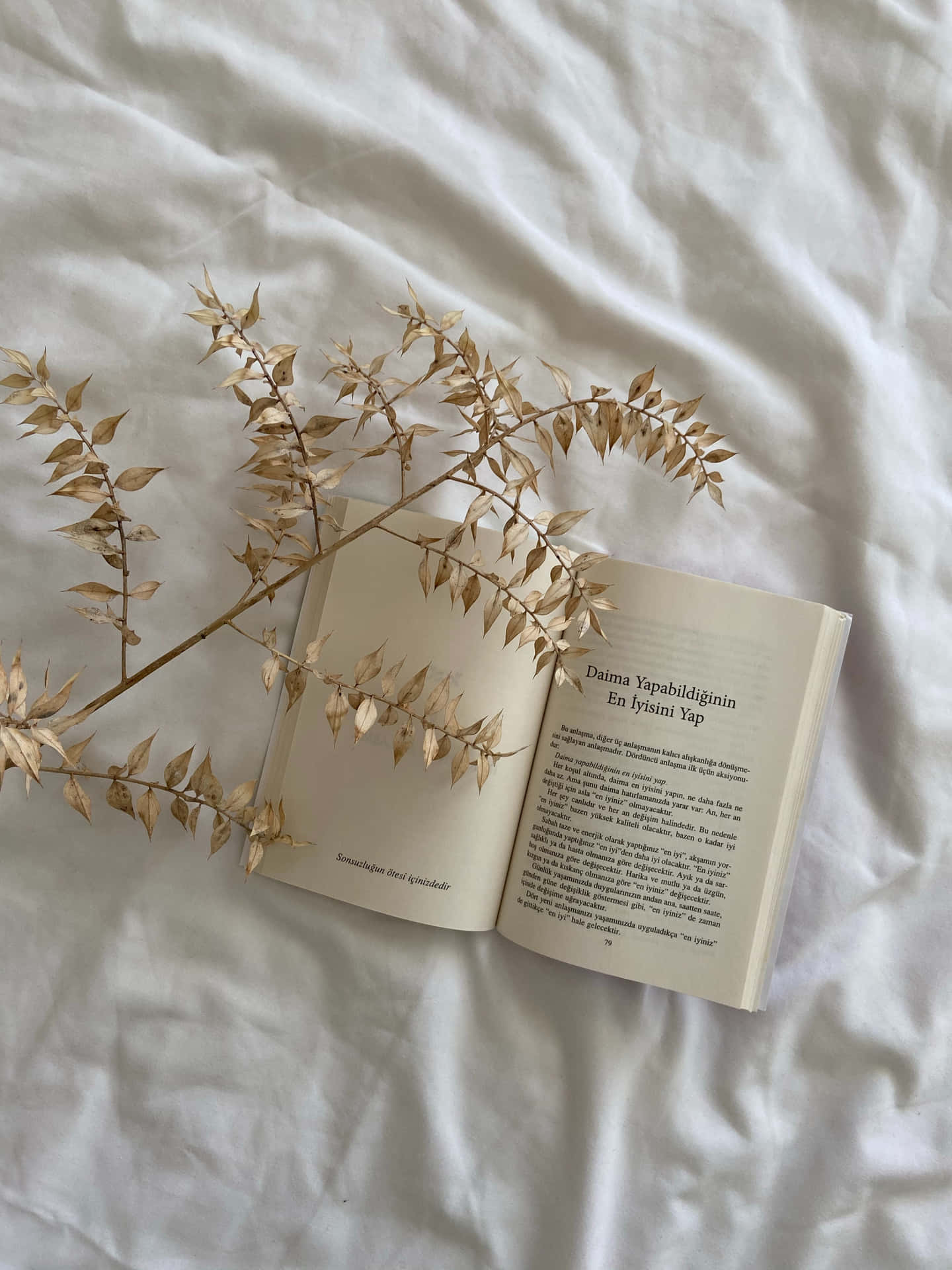 打開的土耳其語書籍和乾燥植物在白色床單上。
