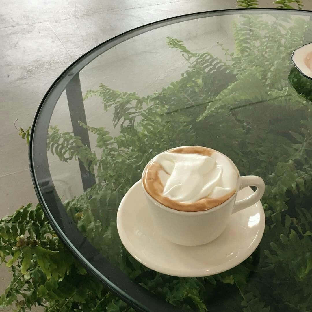 Coffee Cup 桌布 壁紙 — 一杯白色嘅拉花藝術咖啡放喺玻璃枱上，周圍係茂盛嘅綠色蕨類植物。
