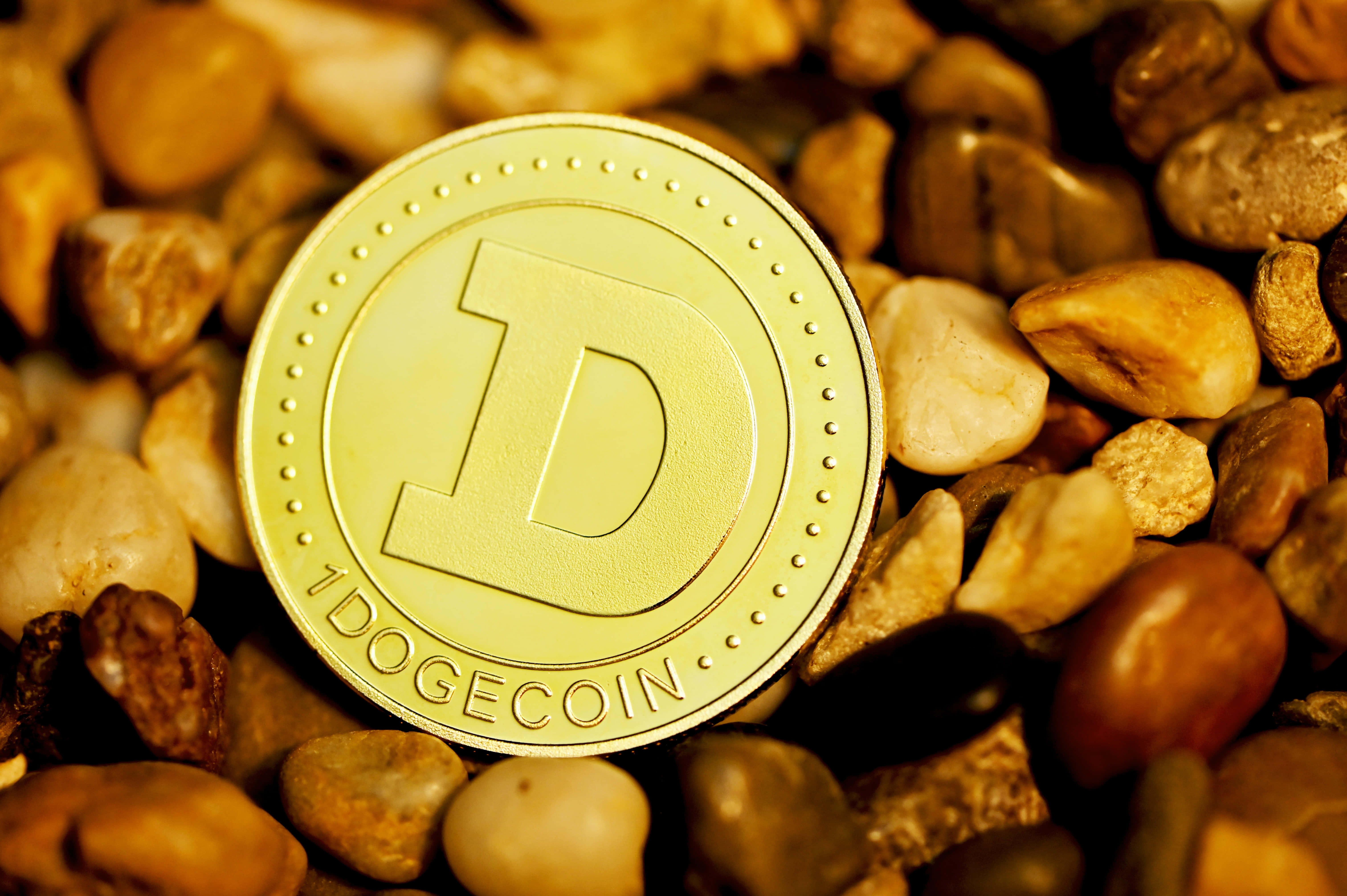 Dogecoin 桌布 壁紙 — 一枚金色 Dogecoin 代幣放在溫暖燈光下光滑的大地色河石床上。