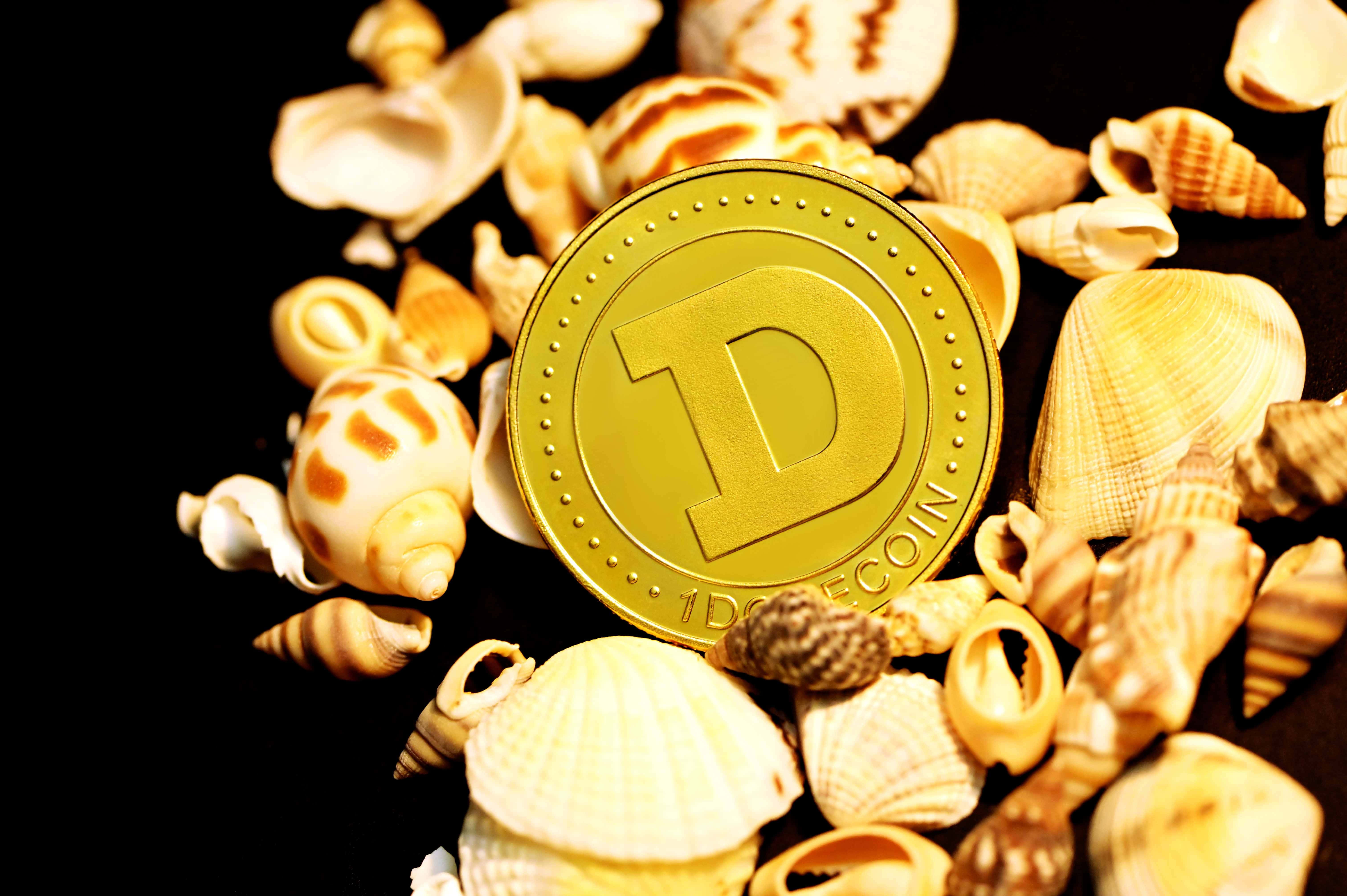 Dogecoin 桌布 壁紙 — 一枚金色 Dogecoin 代幣放在深色背景上散落的貝殼之間。