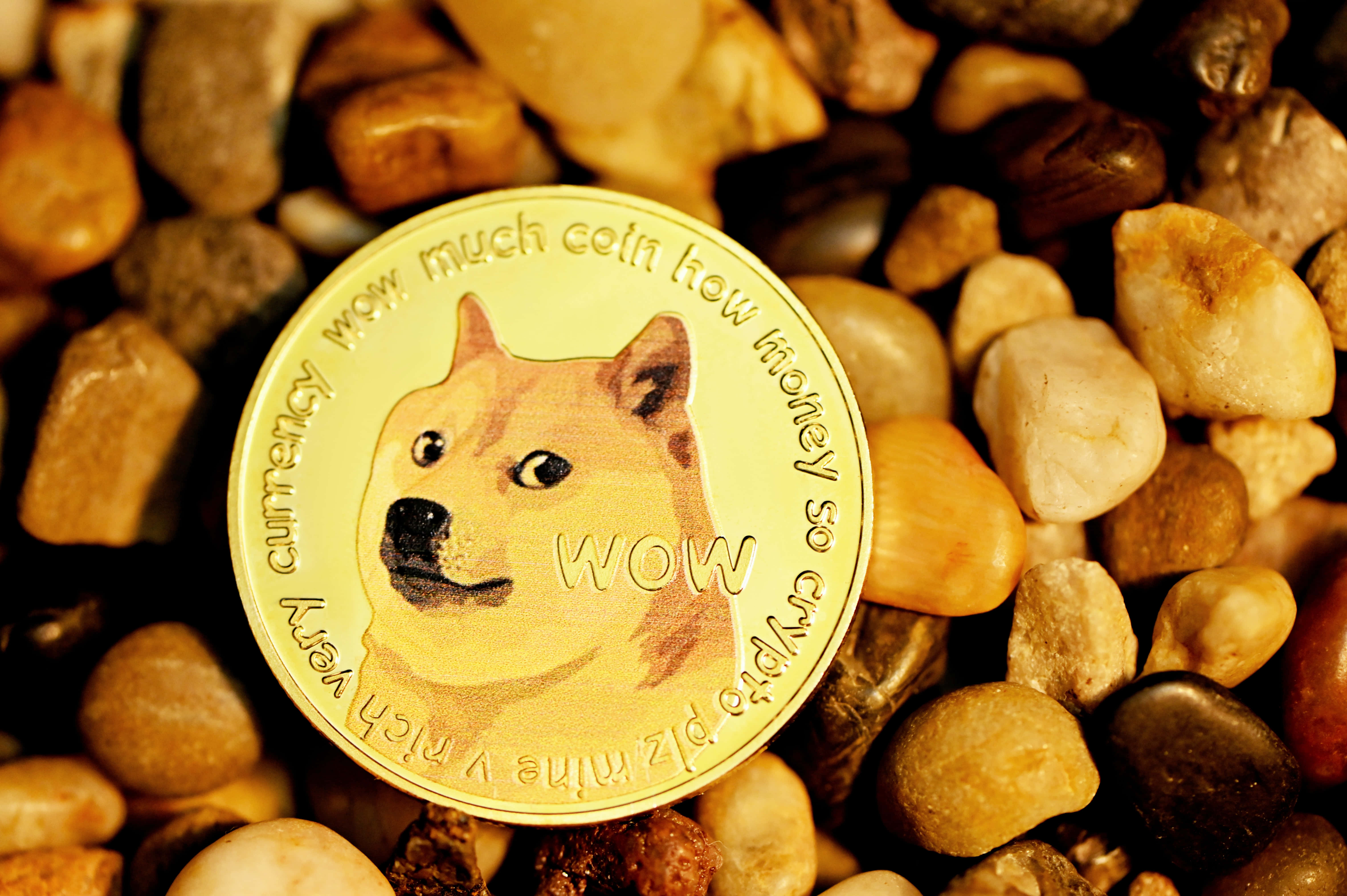 Dogecoin 桌布 壁紙 — 一枚金色Dogecoin，上面有柴犬圖案，放在光滑、暖色調的河石上。
