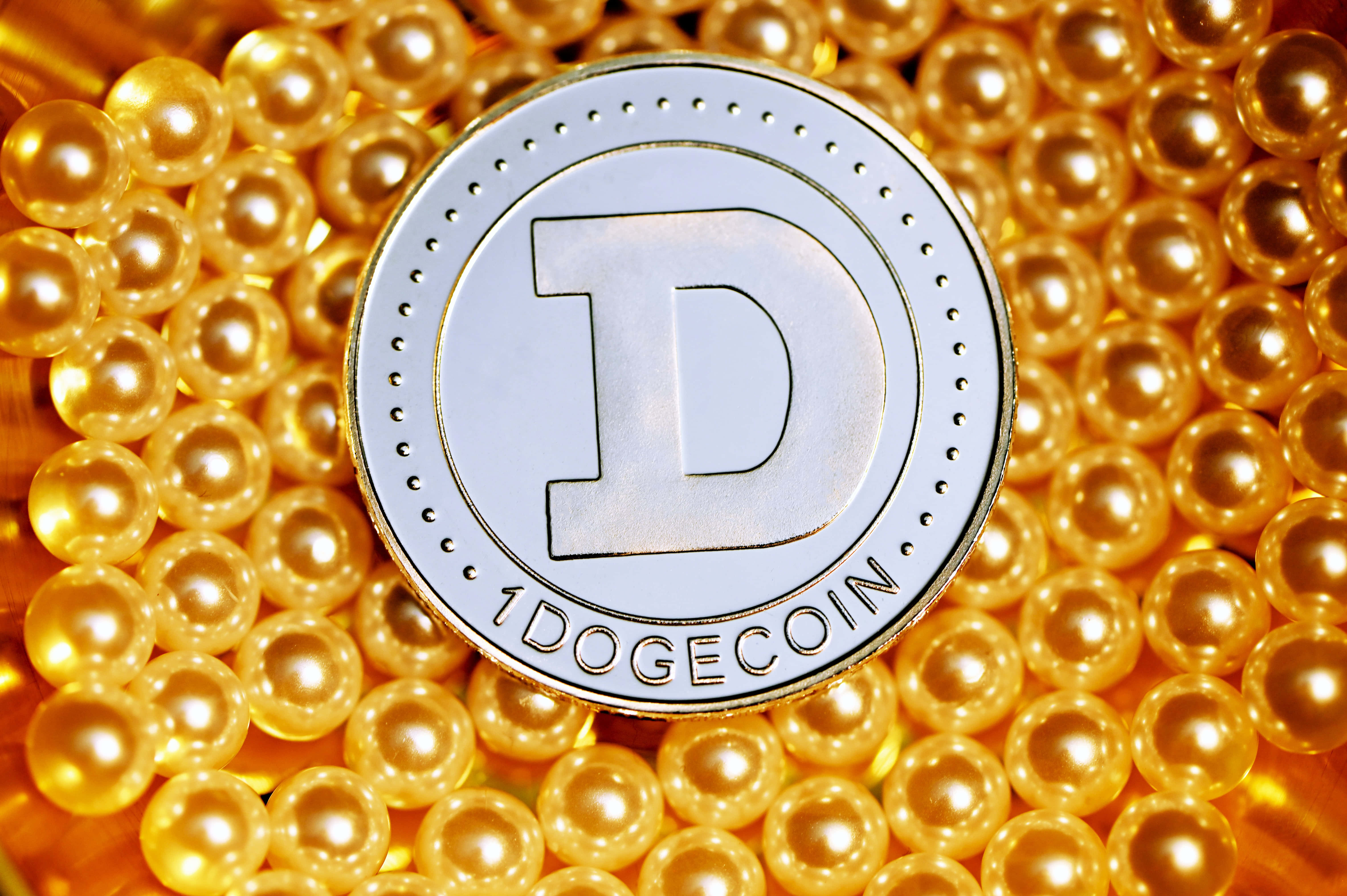 Dogecoin 桌布 壁紙 — 一枚銀色狗狗幣放在金色珍珠床上，在明亮的攝影棚燈光下。