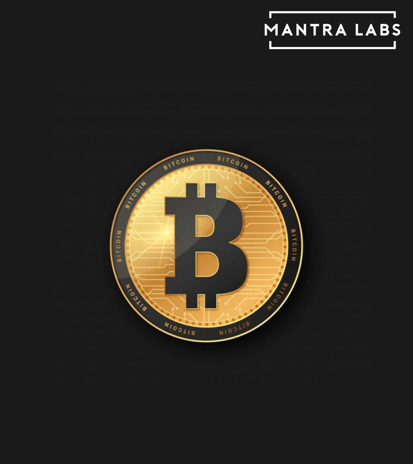 Cryptocurrency 桌布 壁紙 — 一枚閃閃發光的金色比特幣，帶有電路圖案和黑色「B」符號，居中於深色背景上。