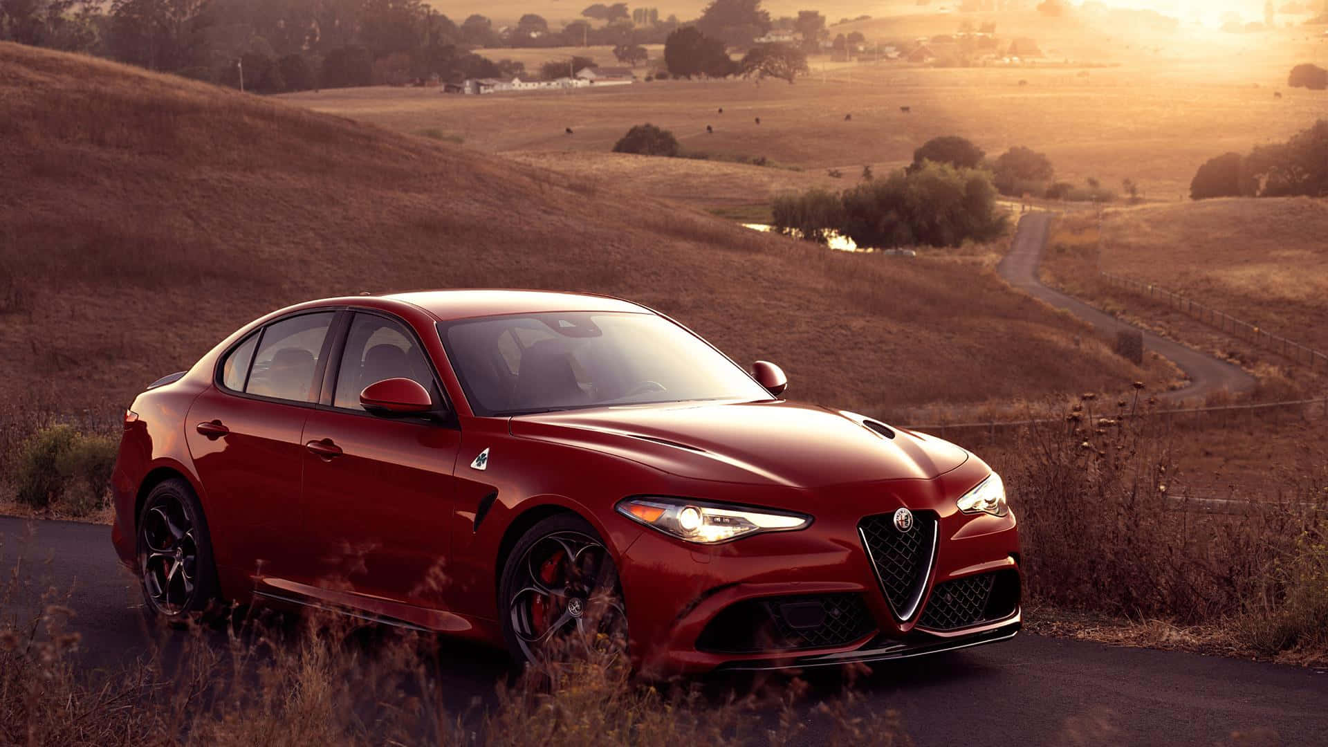 Alfa Romeo Giulia 桌布 壁紙 — 一架亮紅色嘅Alfa Romeo房車停泊喺蜿蜒嘅鄉村道路上，背景係金色日落、起伏嘅山丘同乾草。