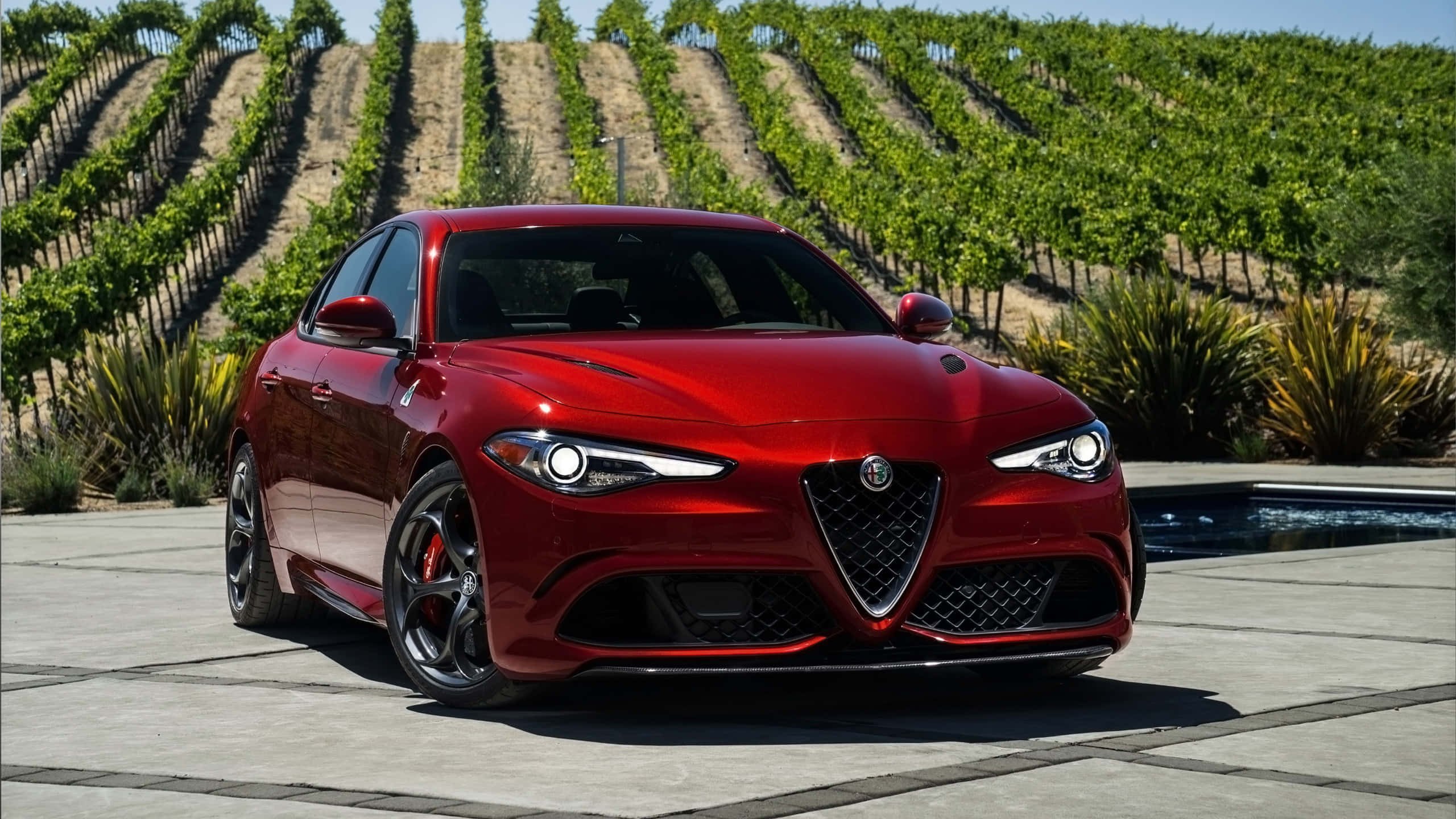 Alfa Romeo Giulia 桌布 壁紙 — 一架亮紅色嘅Alfa Romeo跑車停泊喺石頭 patio 旁邊嘅泳池，後面係梯田葡萄園，喺燦爛陽光下升起。