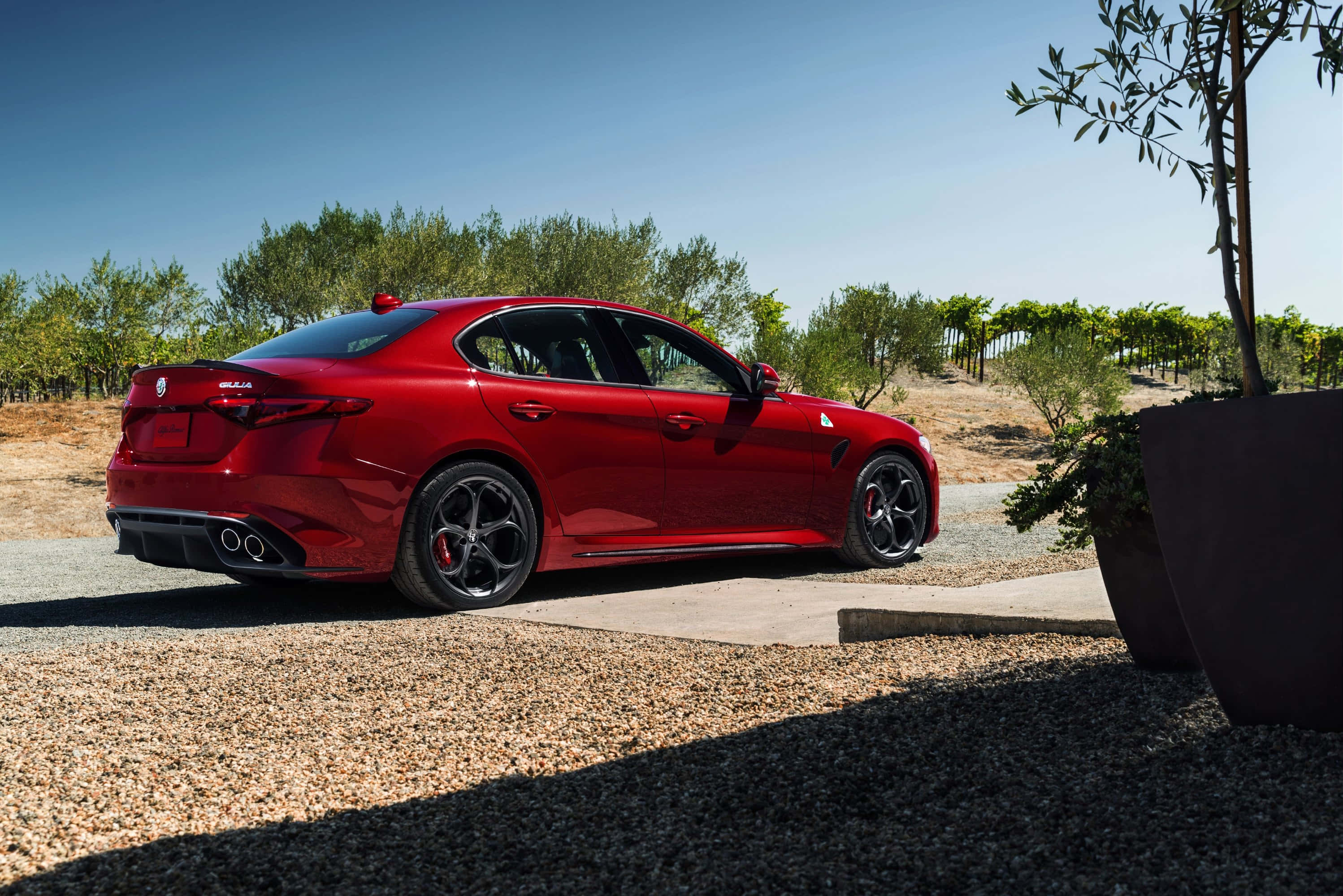 Alfa Romeo Giulia 桌布 壁紙 — 一架亮紅色嘅Alfa Romeo Giulia運動房車泊喺碎石路上，旁邊係葡萄園，上面係晴朗嘅藍天。