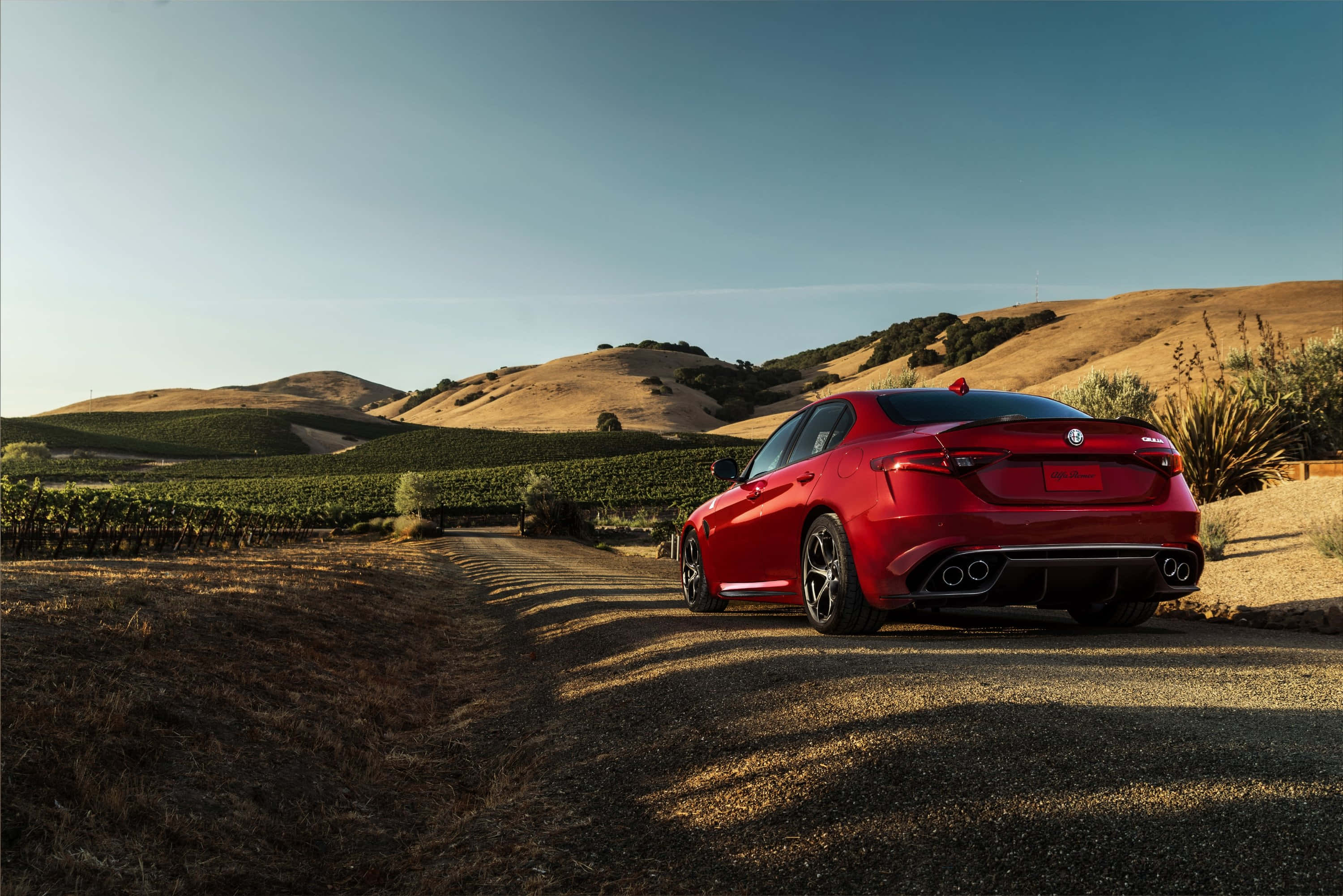 Alfa Romeo Giulia 桌布 壁紙 — 一架亮紅色嘅Alfa Romeo房車停泊喺葡萄園旁邊嘅碎石路上，天空晴朗蔚藍。