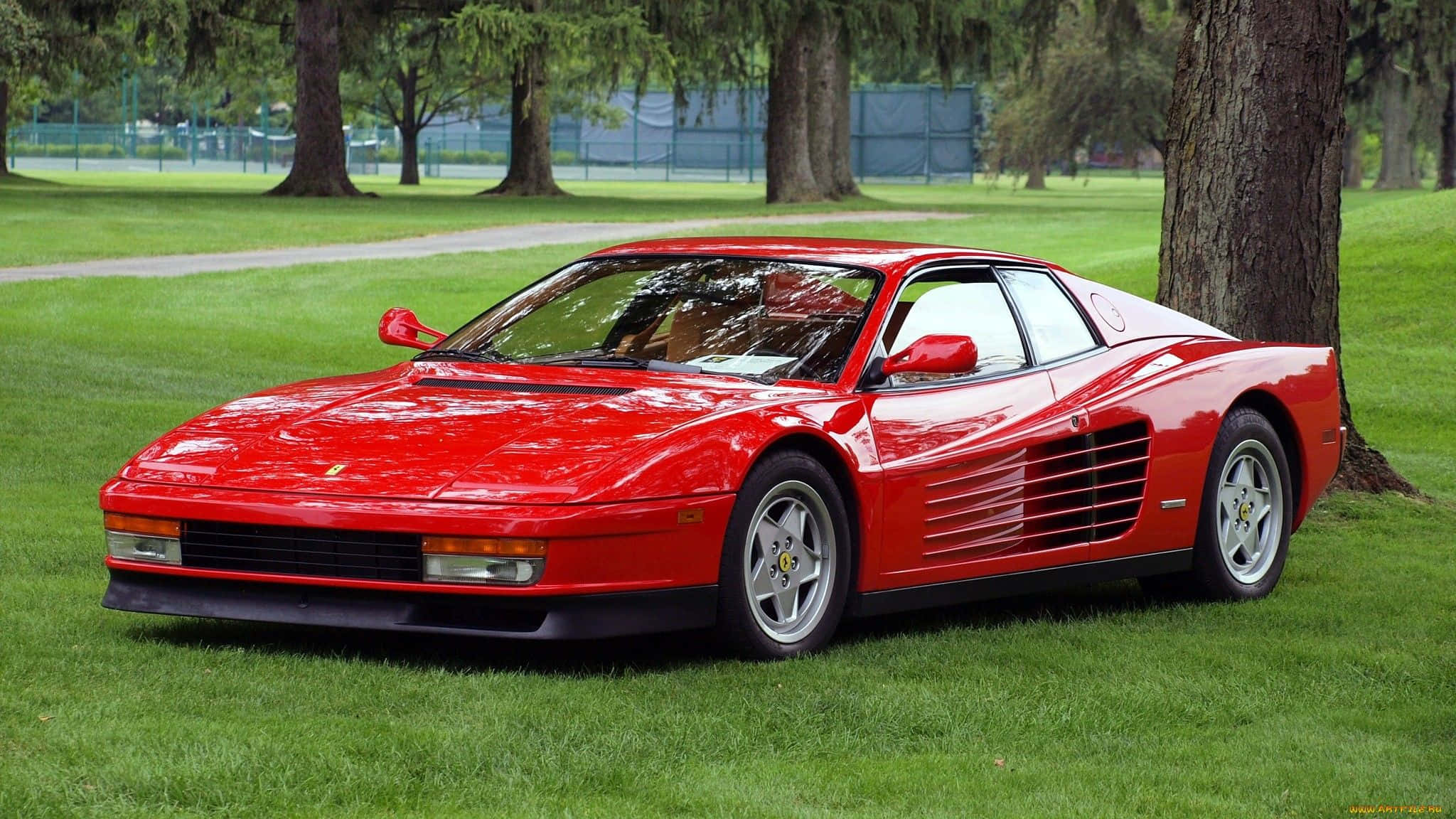 Ferrari Testarossa 桌布 壁紙 — 一架亮麗的紅色法拉利 Testarossa 停泊在公園樹旁茂密的綠草地上。