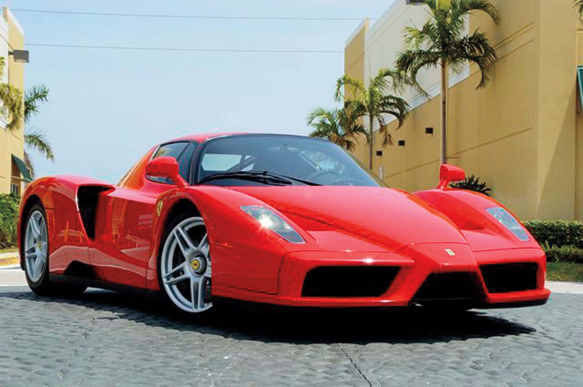 Ferrari Enzo 桌布 壁紙 — 一架亮麗的紅色法拉利Enzo跑車停泊在鵝卵石街道上，兩旁有棕櫚樹和米色建築，天空清澈湛藍。
