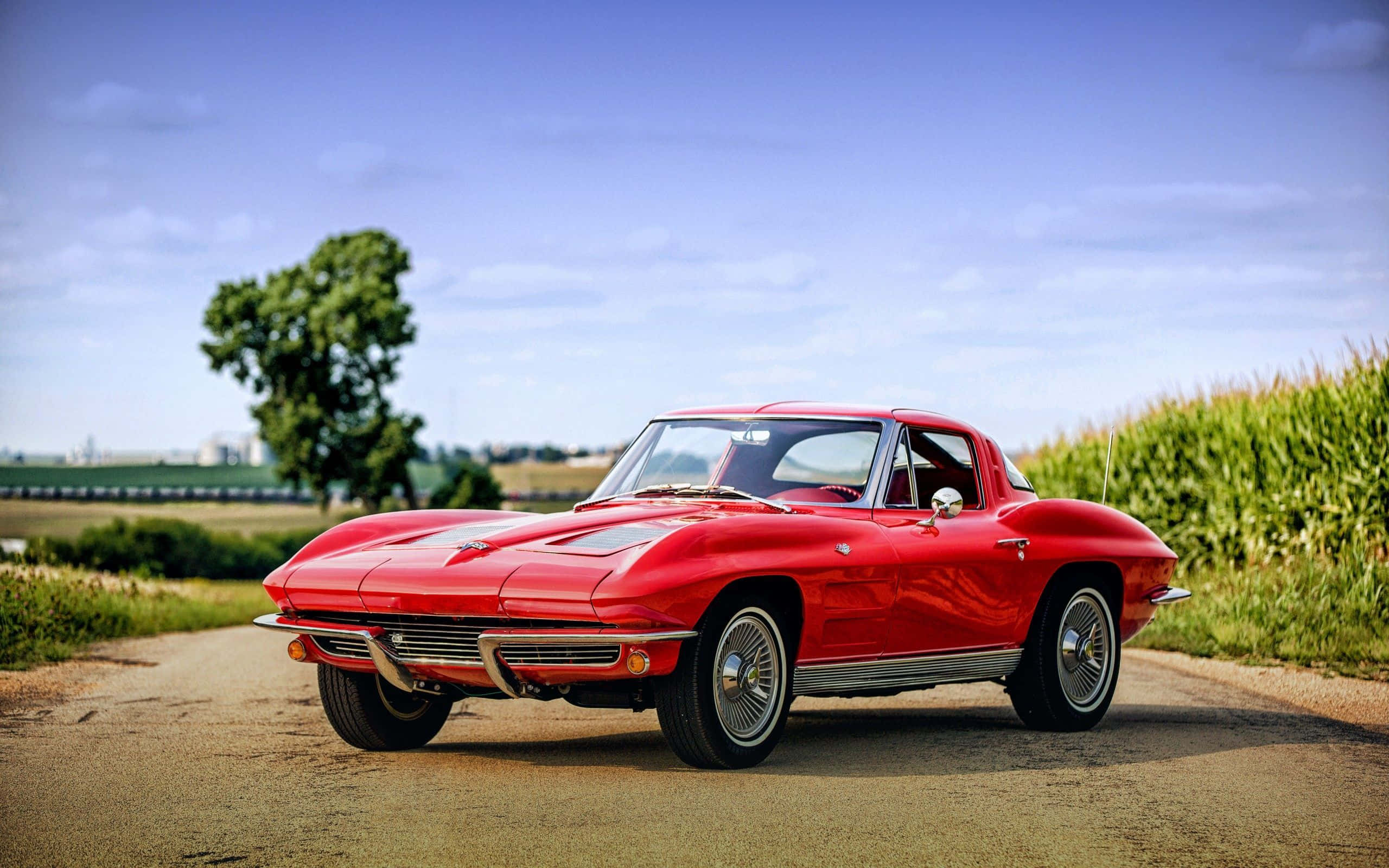 classic 桌布 壁紙 — 一架亮麗的紅色經典Corvette跑車停泊在鄉村道路上，旁邊是高大的綠色玉米田，上方是明亮的藍天。