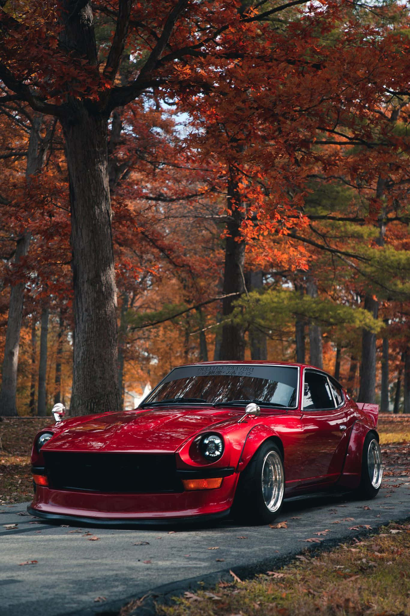 Datsun 桌布 壁紙 — 一架亮麗的紅色經典跑車停泊在森林道路上，上方是鮮豔的橙色秋樹。